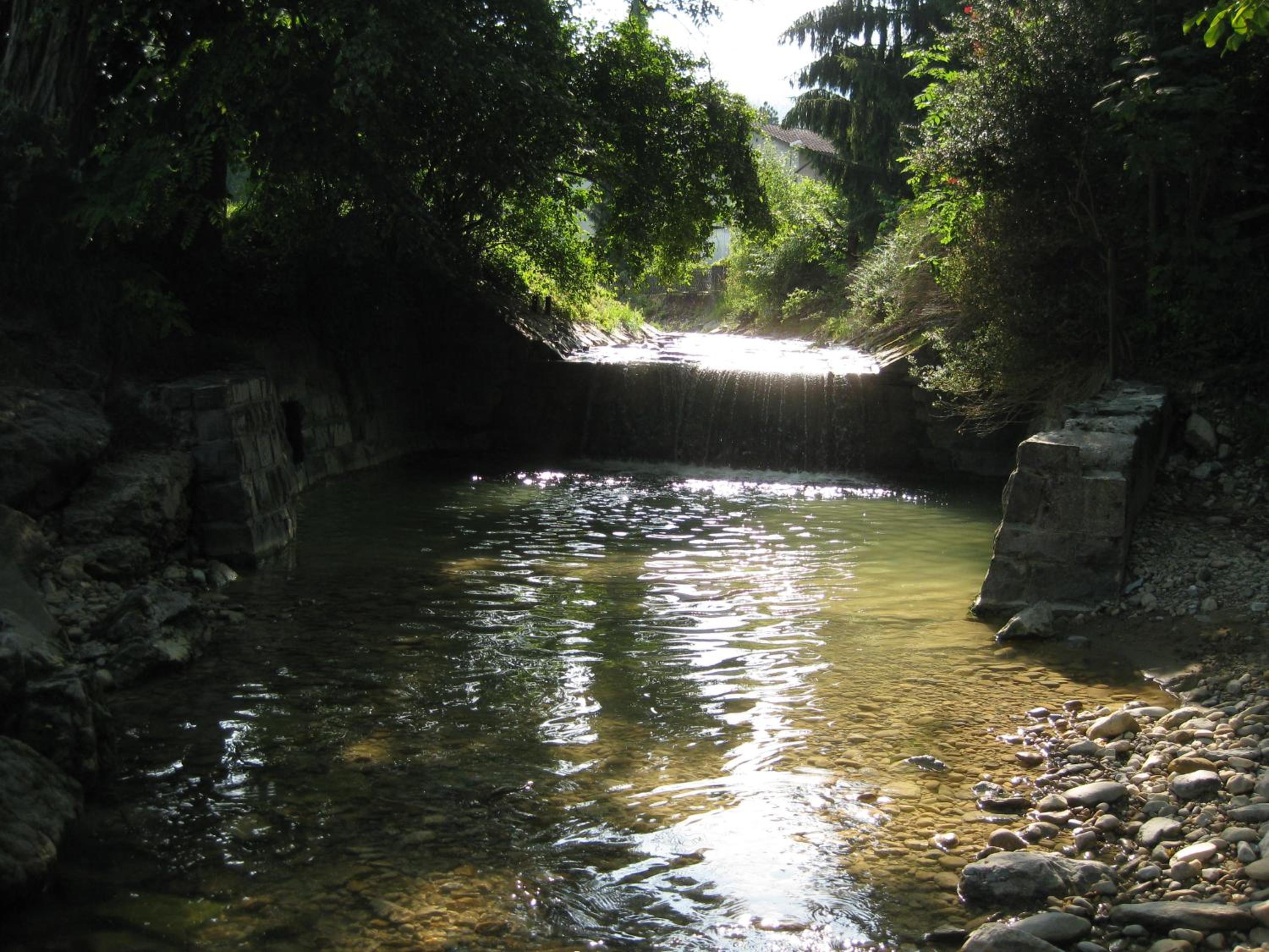 Photo 28