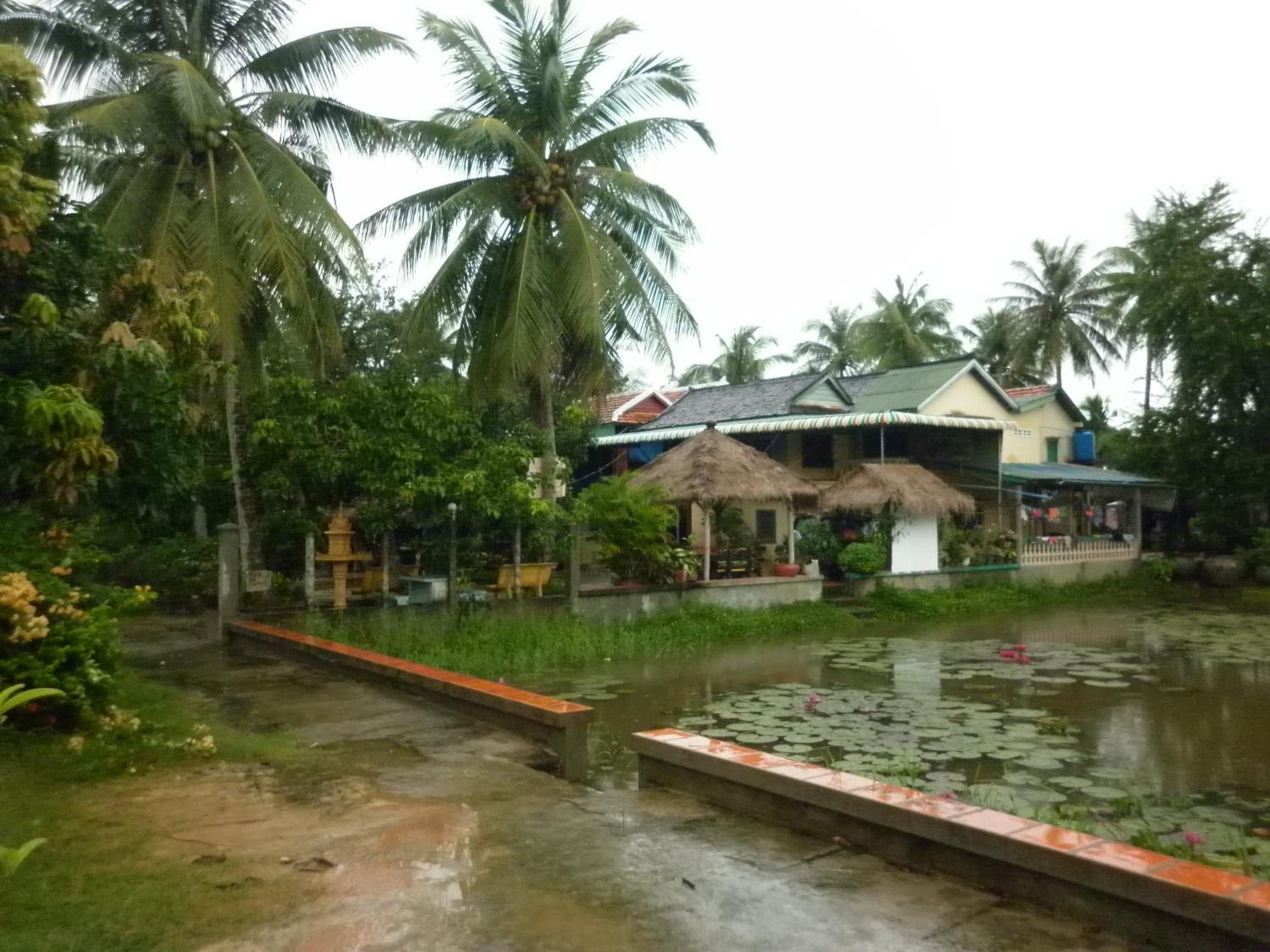 Photo 42
