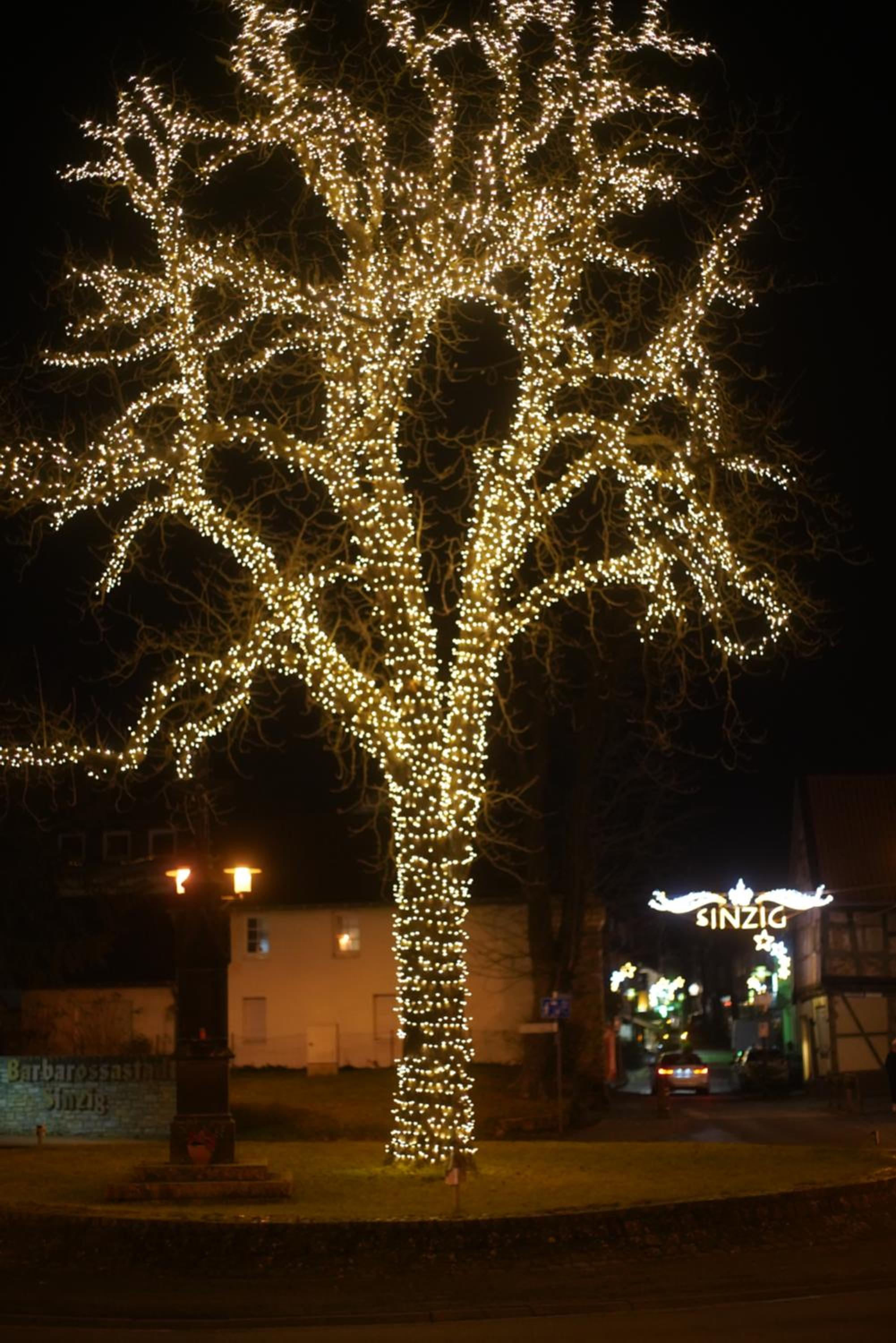 Photo 45