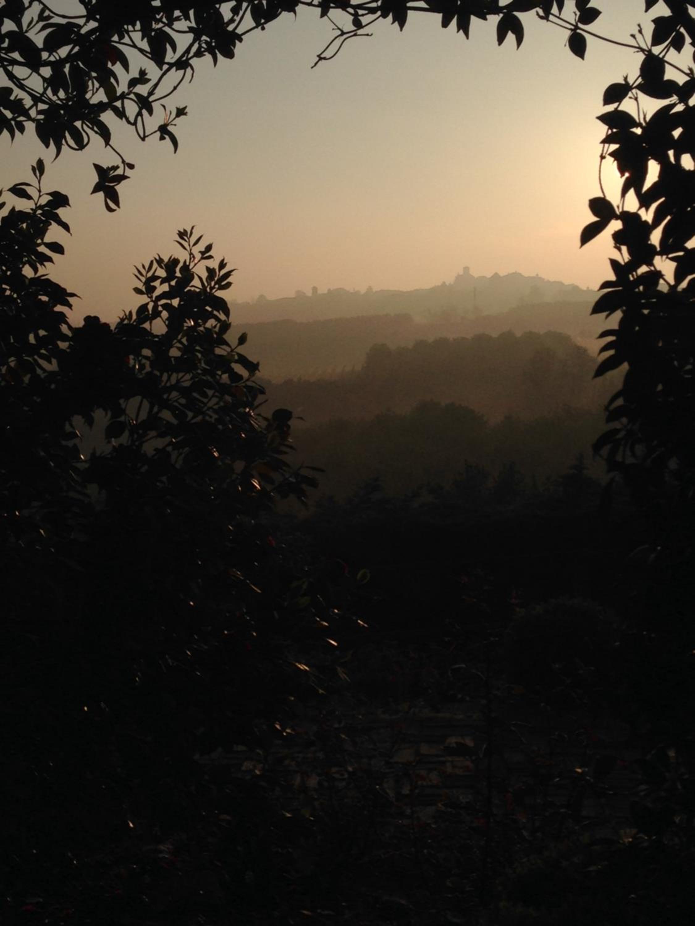Villa Bricco dei Cogni