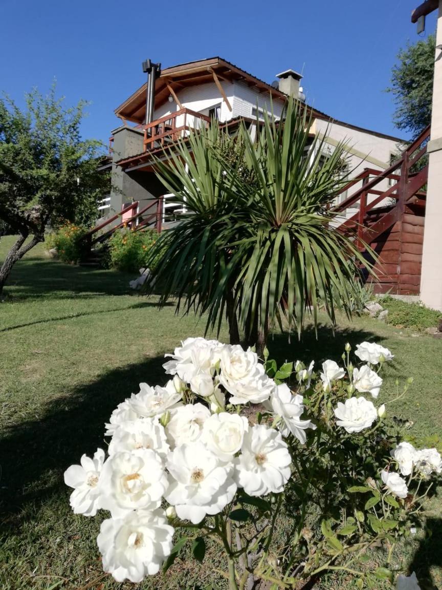 Cabañas el Recodo de Potrero