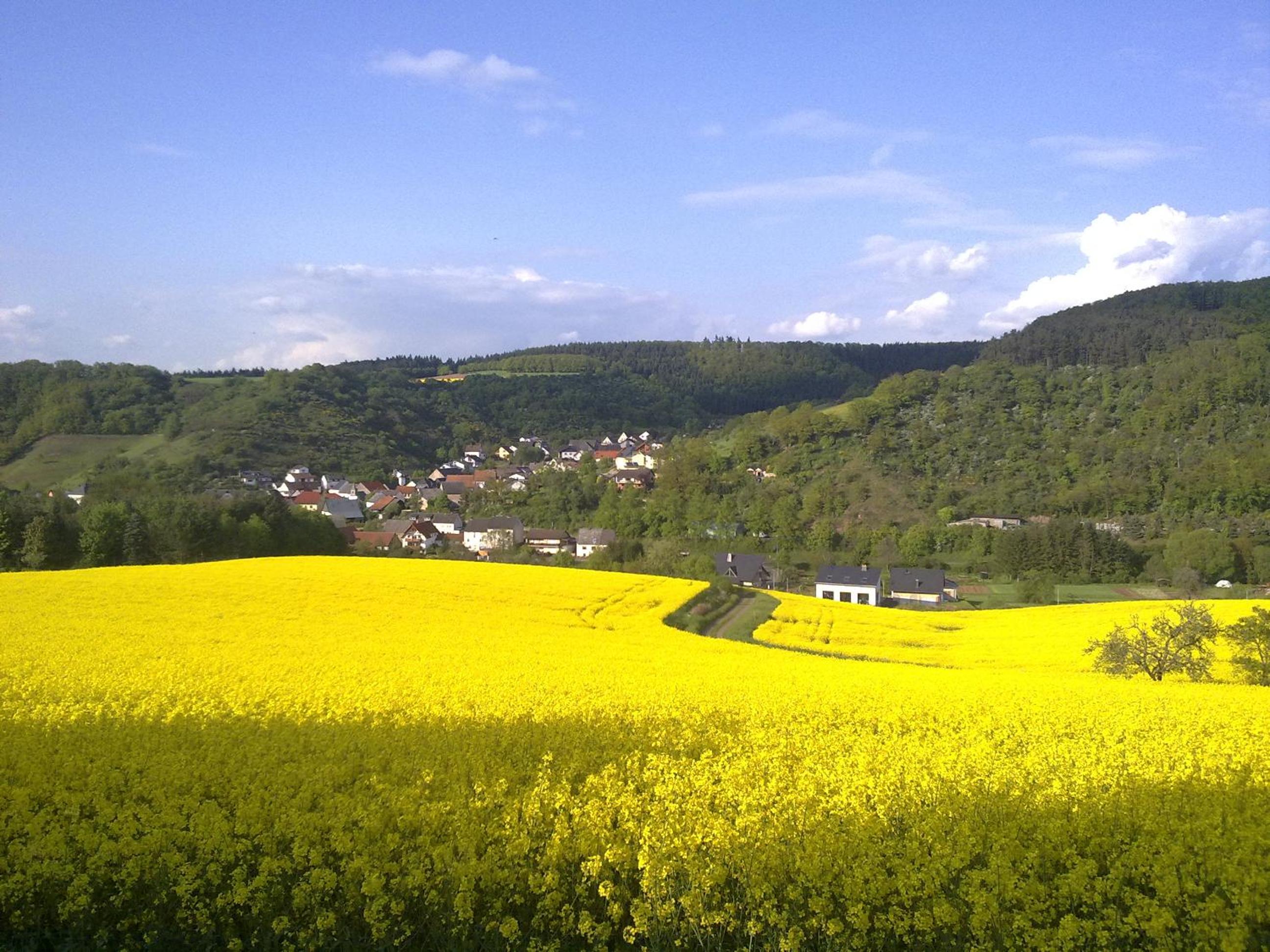 Ferienwohnungen Traumblick im Nahetal