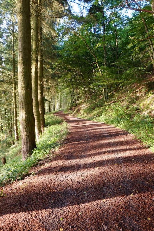 Ferienwohnungen Traumblick im Nahetal
