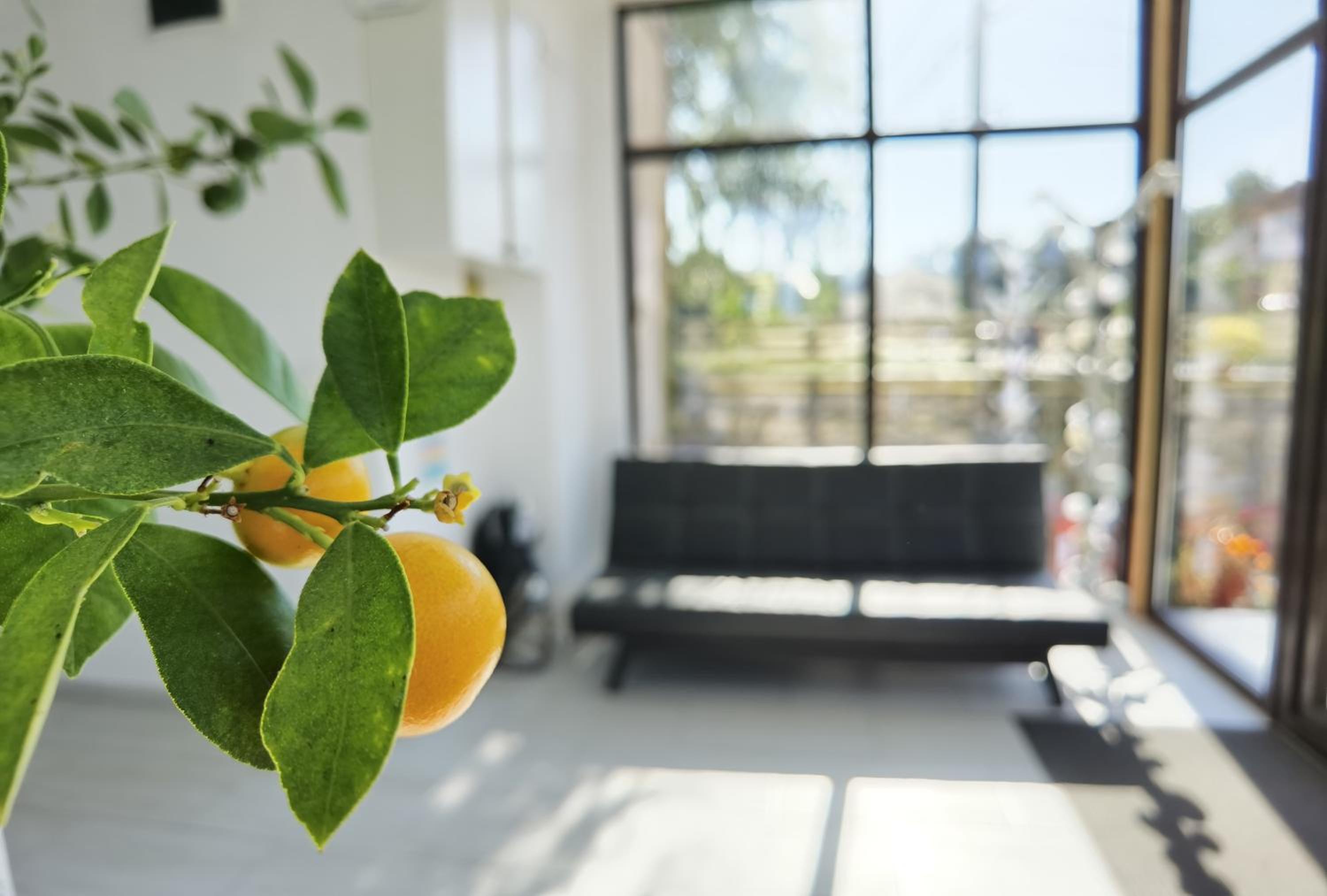 Pensiunea Prestige House view 5