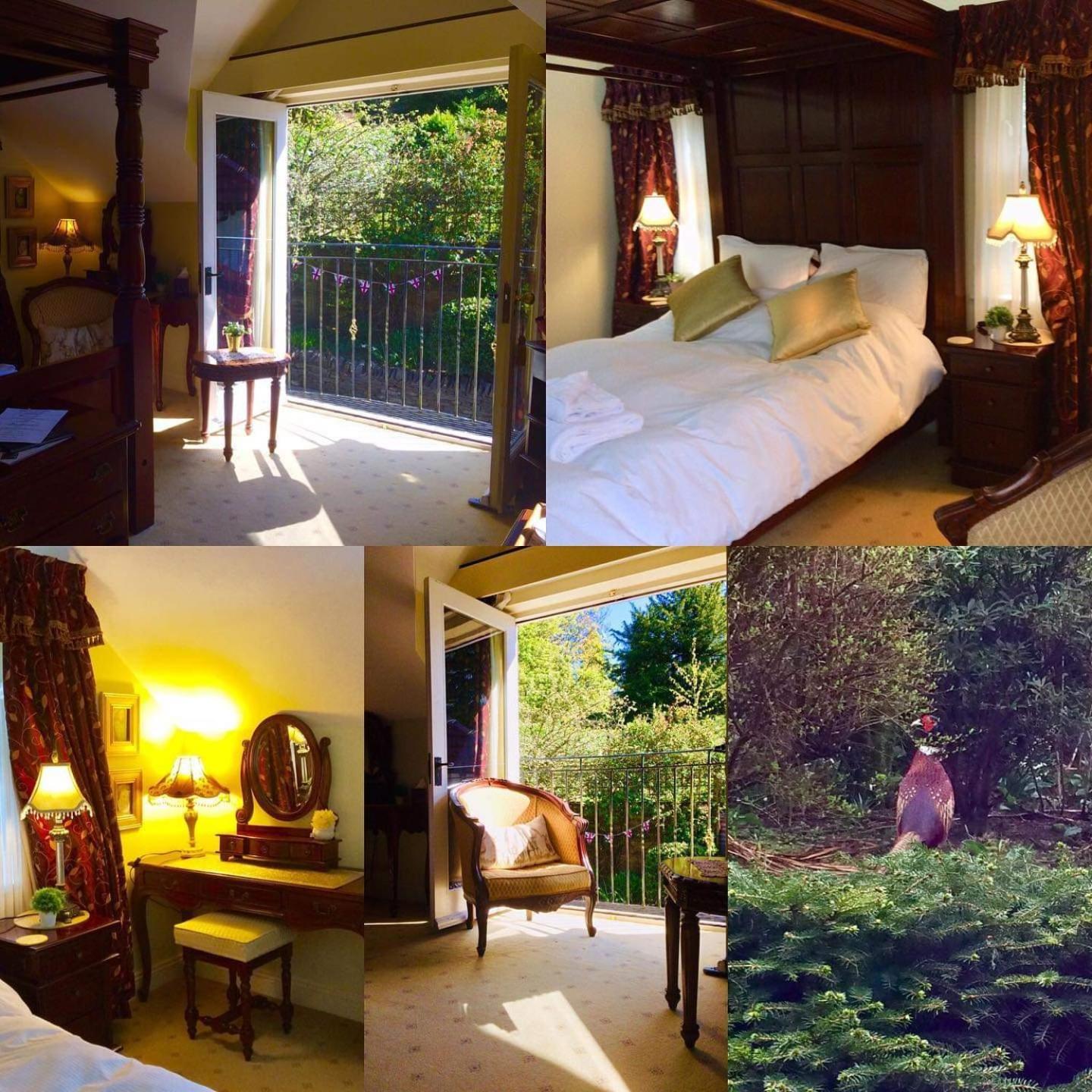 Storrs Gate House B & B No pets Allowed