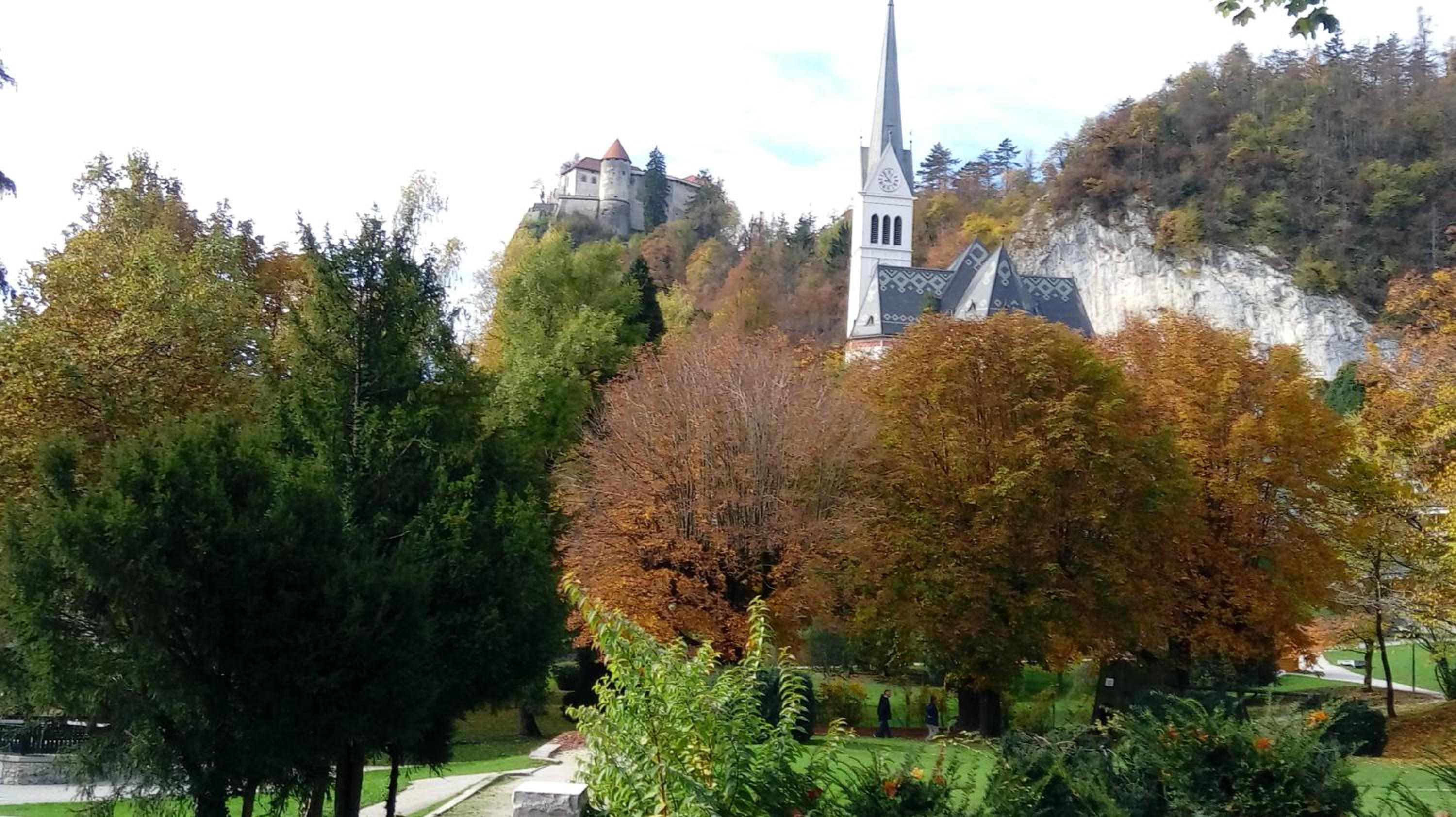Photo 17