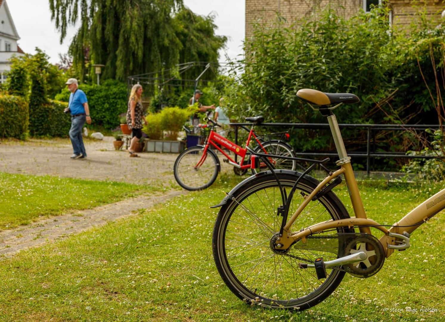Fredensborg Vandrerhjem, i Kongens baghave