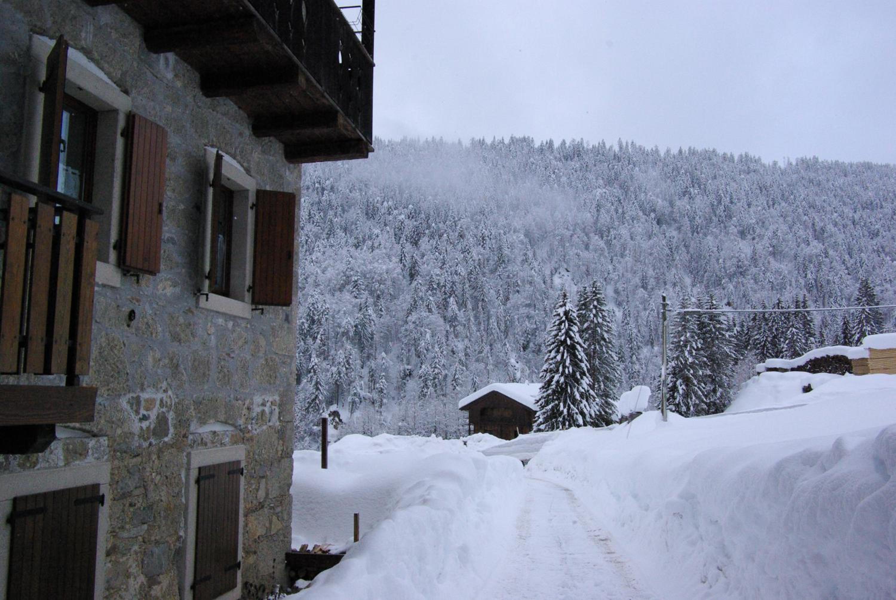 SAURISapar KHLEMELE view 4