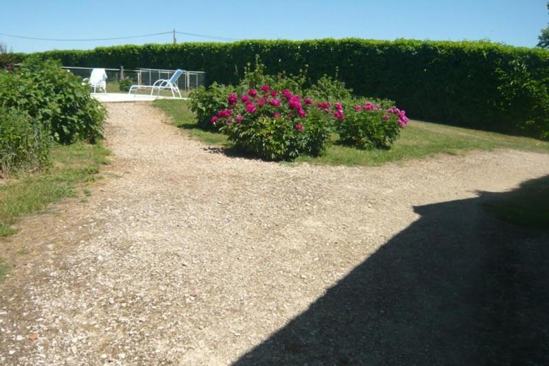 Photo 41