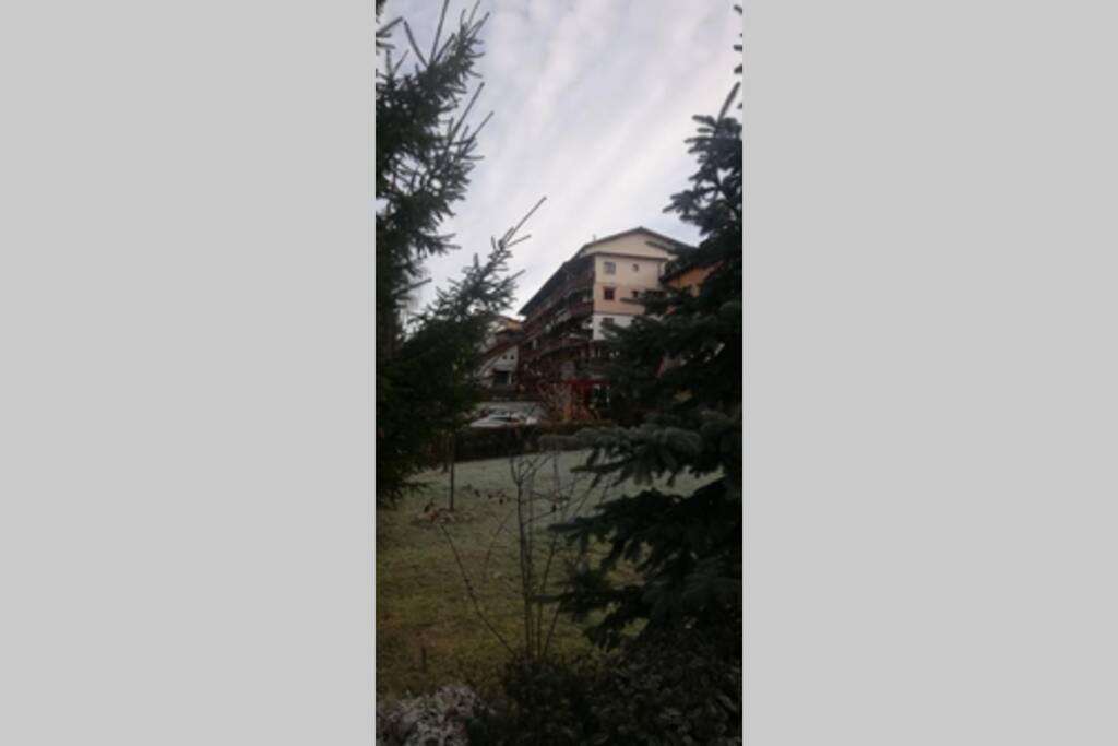 Hotel Large Vacation Apartment In Poiana Brasov
