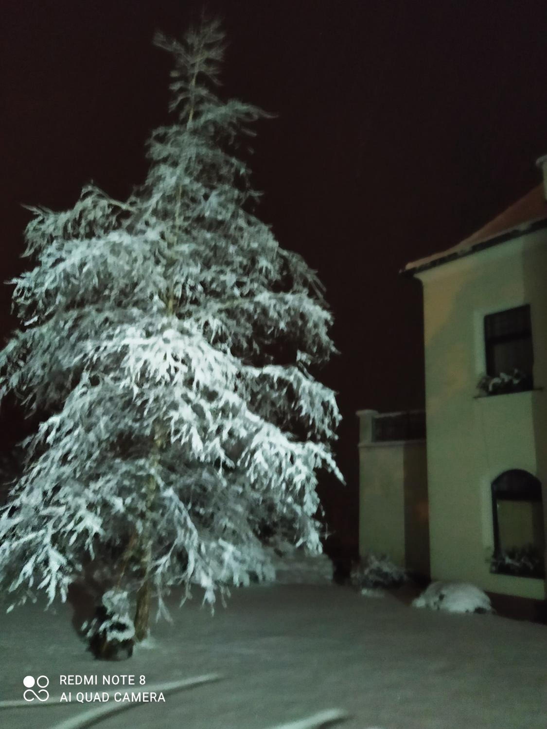 Villa Liduška s kavárnou