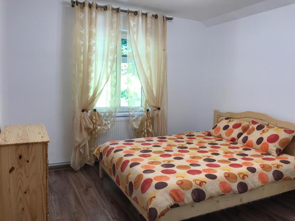 Cabana Popasul Muntilor-Rau Sadului view 2