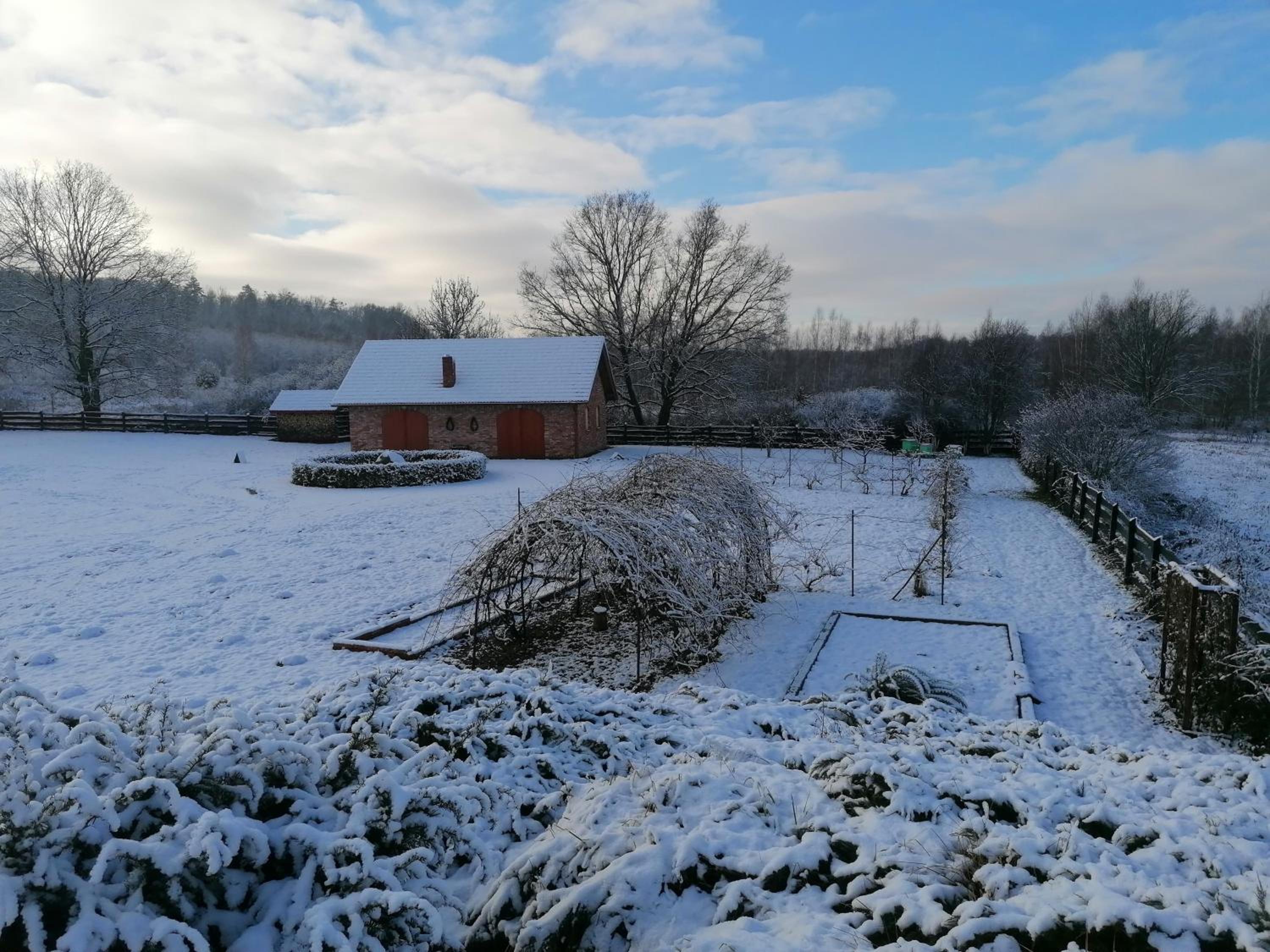 Photo 14