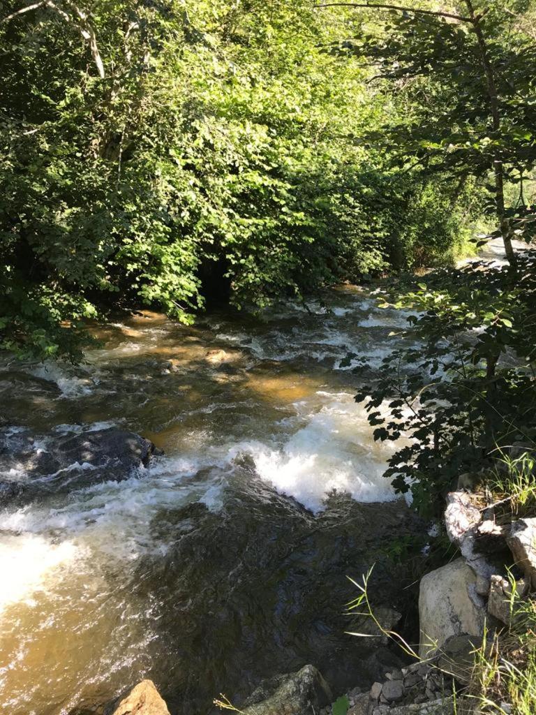 Photo 33