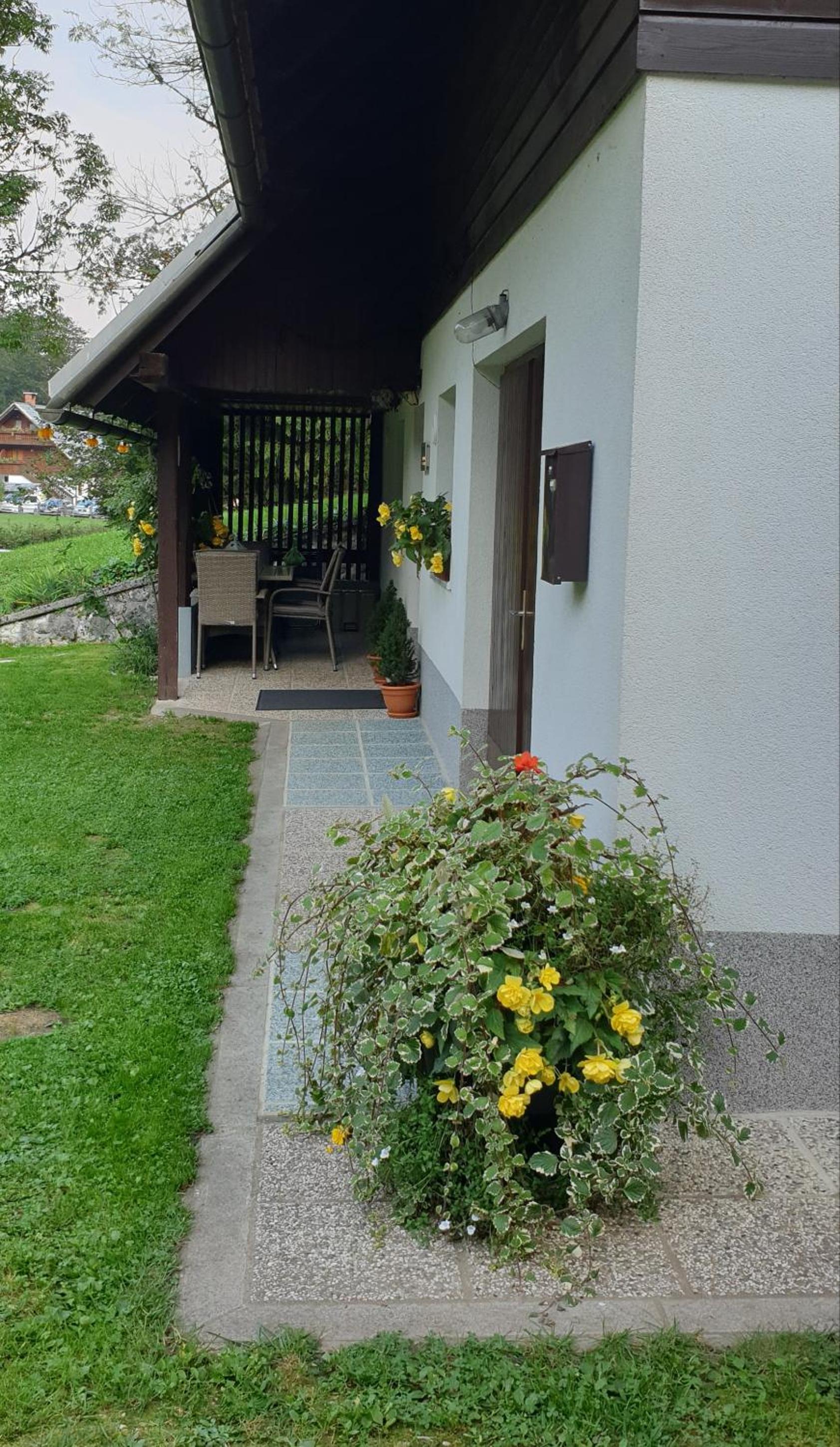 Photo 7