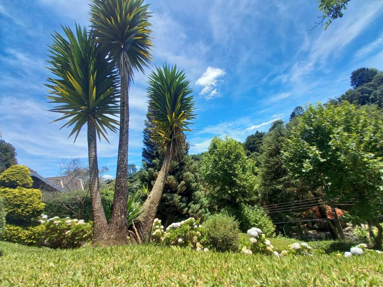 Casa em campos do Jordão
