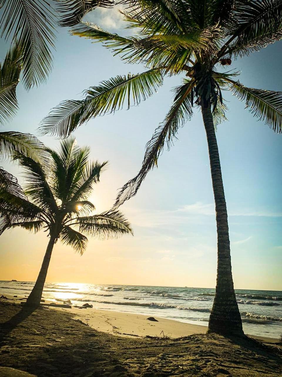 Playa Jaguar - Beach Club