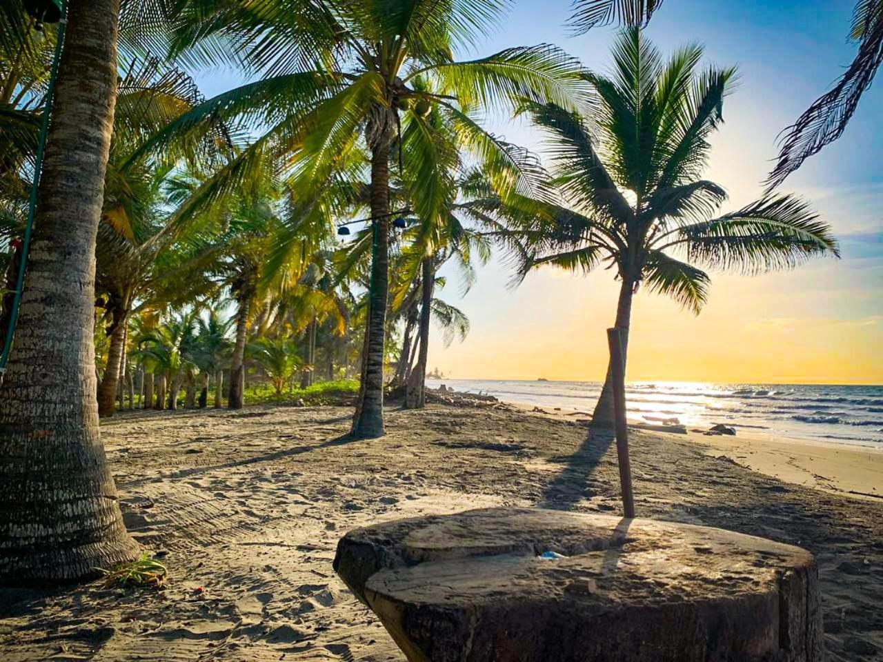 Playa Jaguar - Beach Club