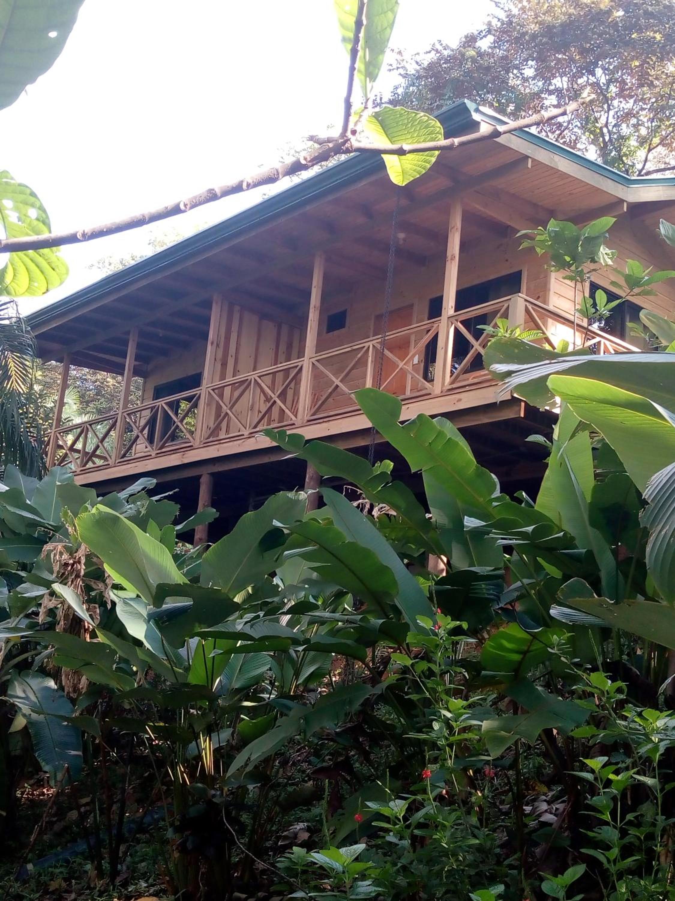 Forest Lodge view 2