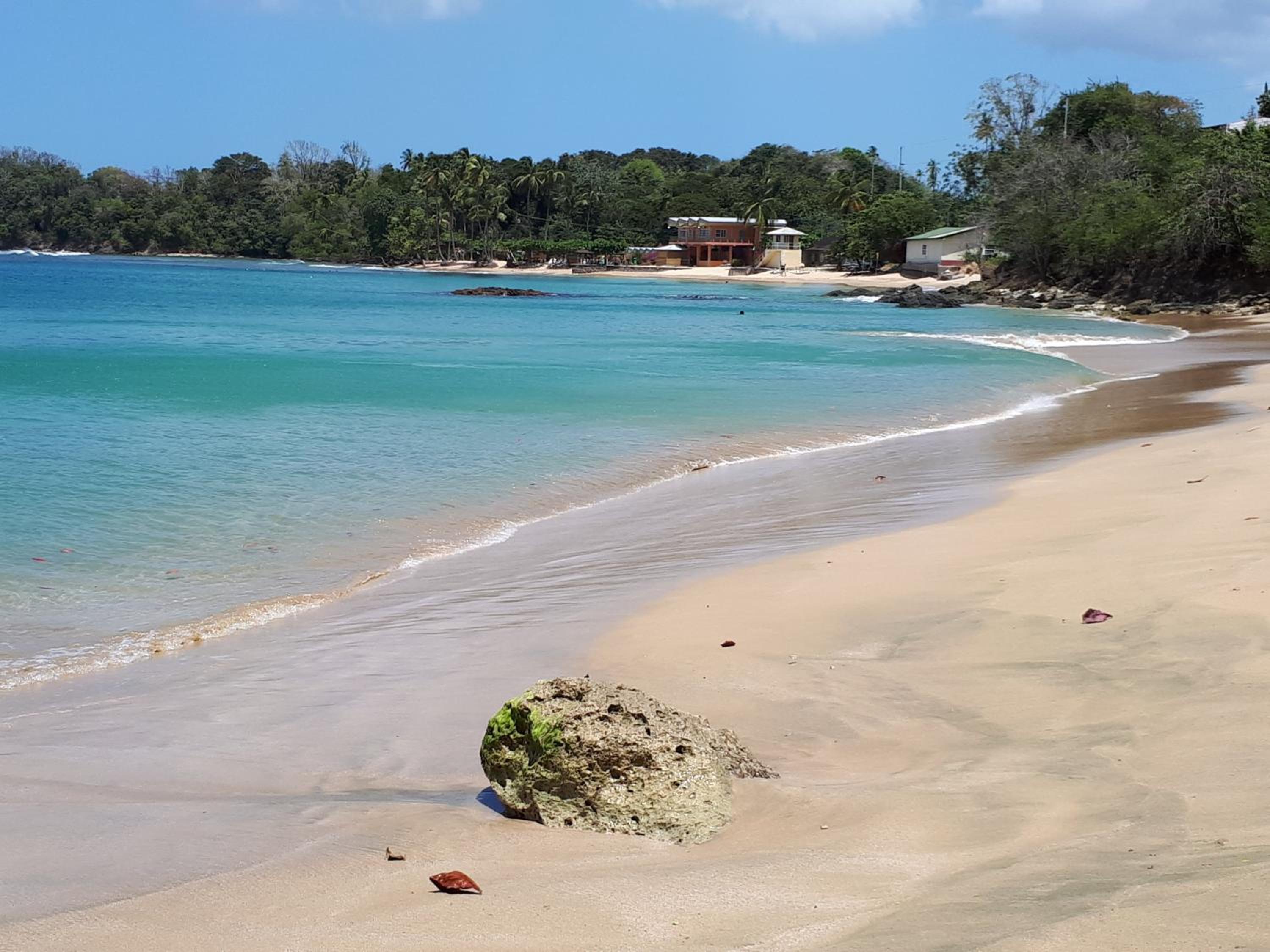 The Nest Tobago Apartments