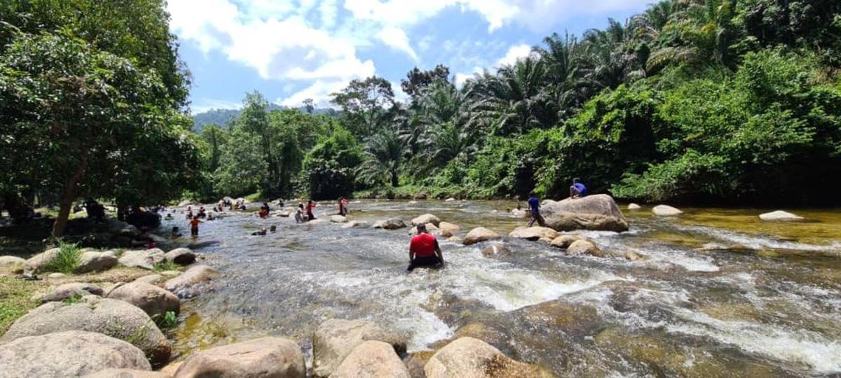 Lubok Jong Riverside, Sedim photo 2