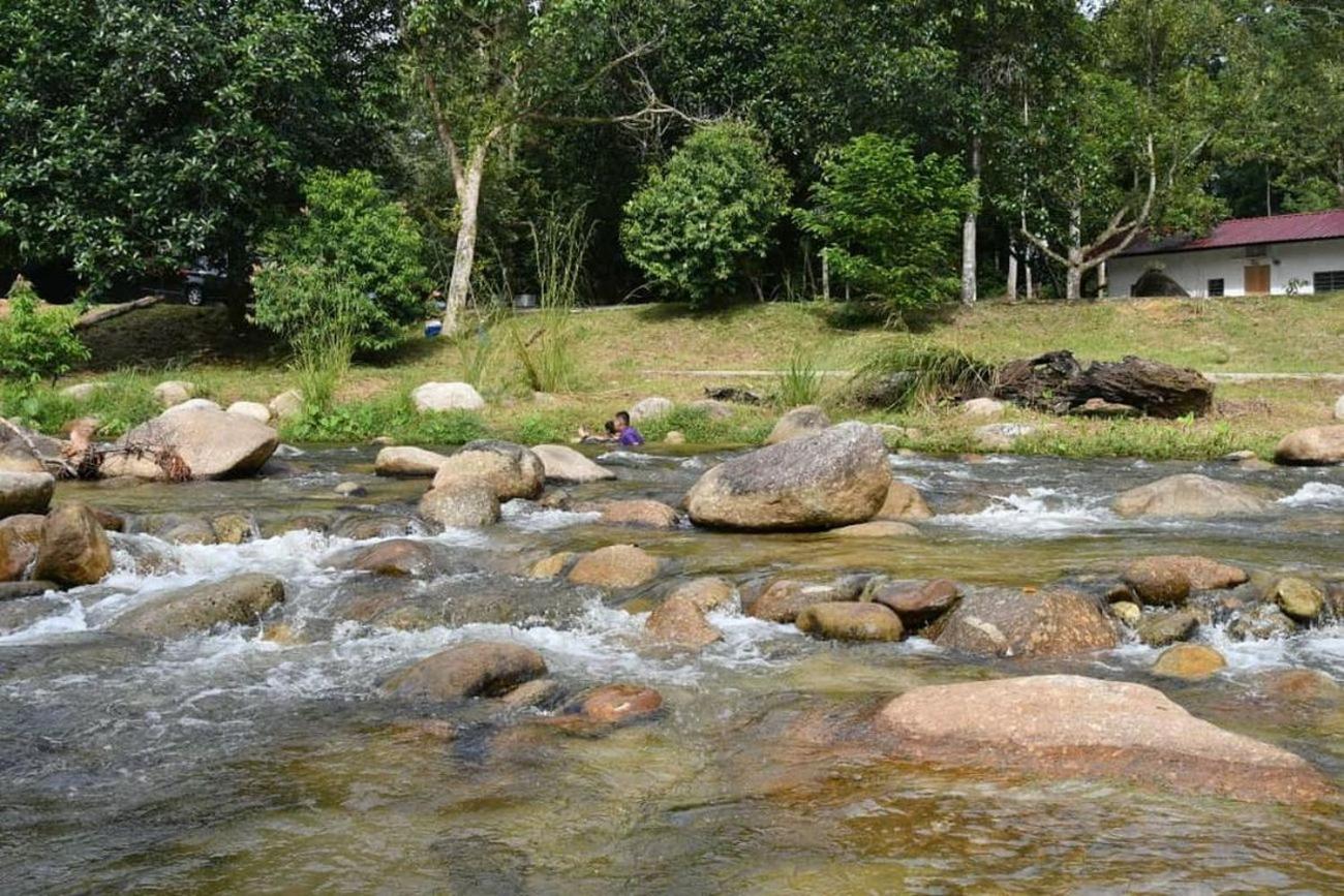 Lubok Jong Riverside, Sedim photo 5