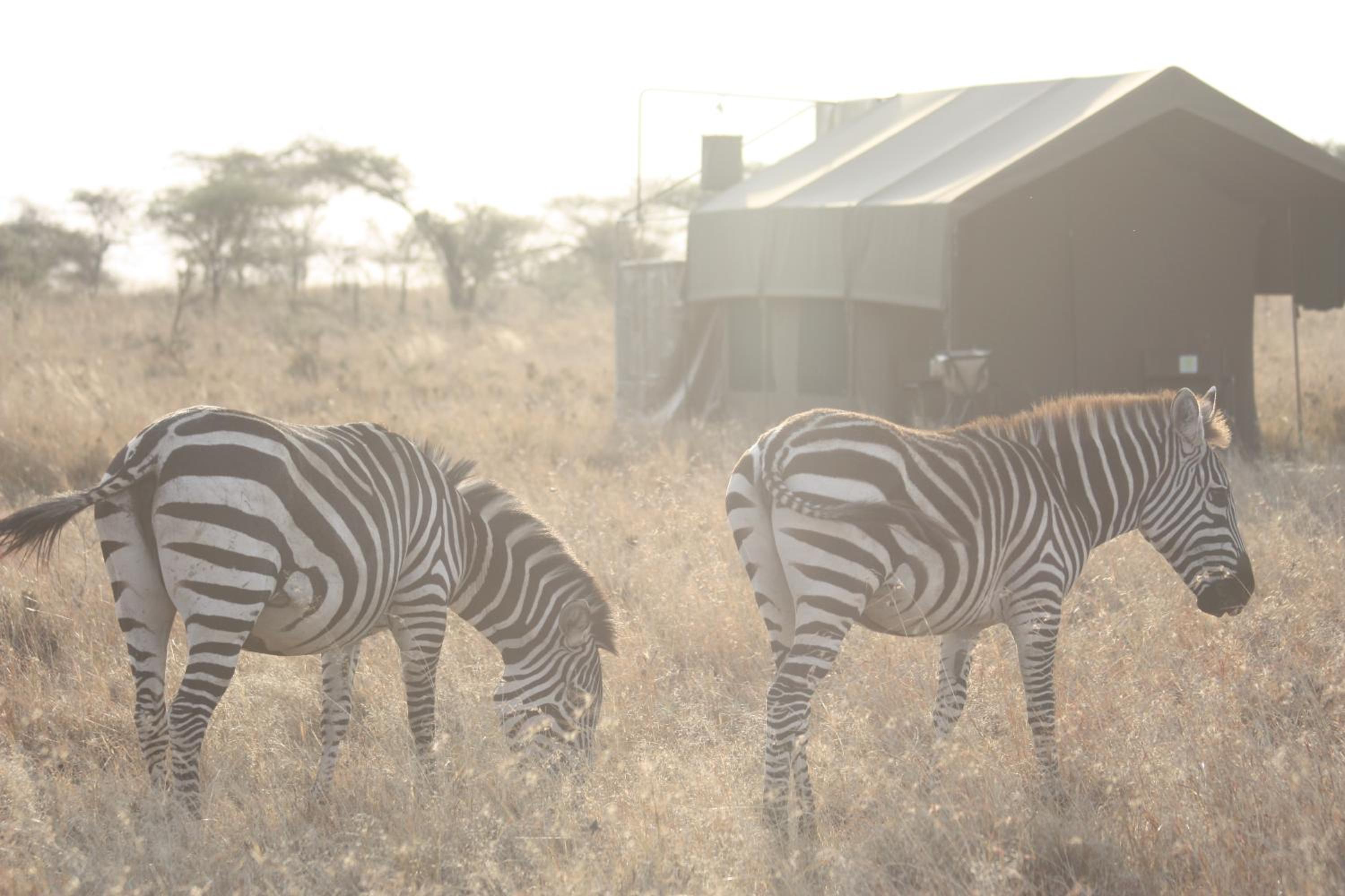 Kananga Special Tented Camp view 4