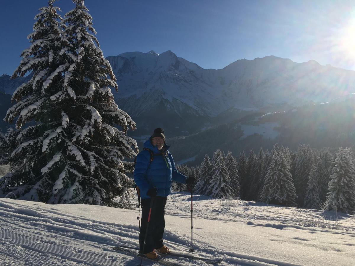 Chalet l'Aiglon view 4