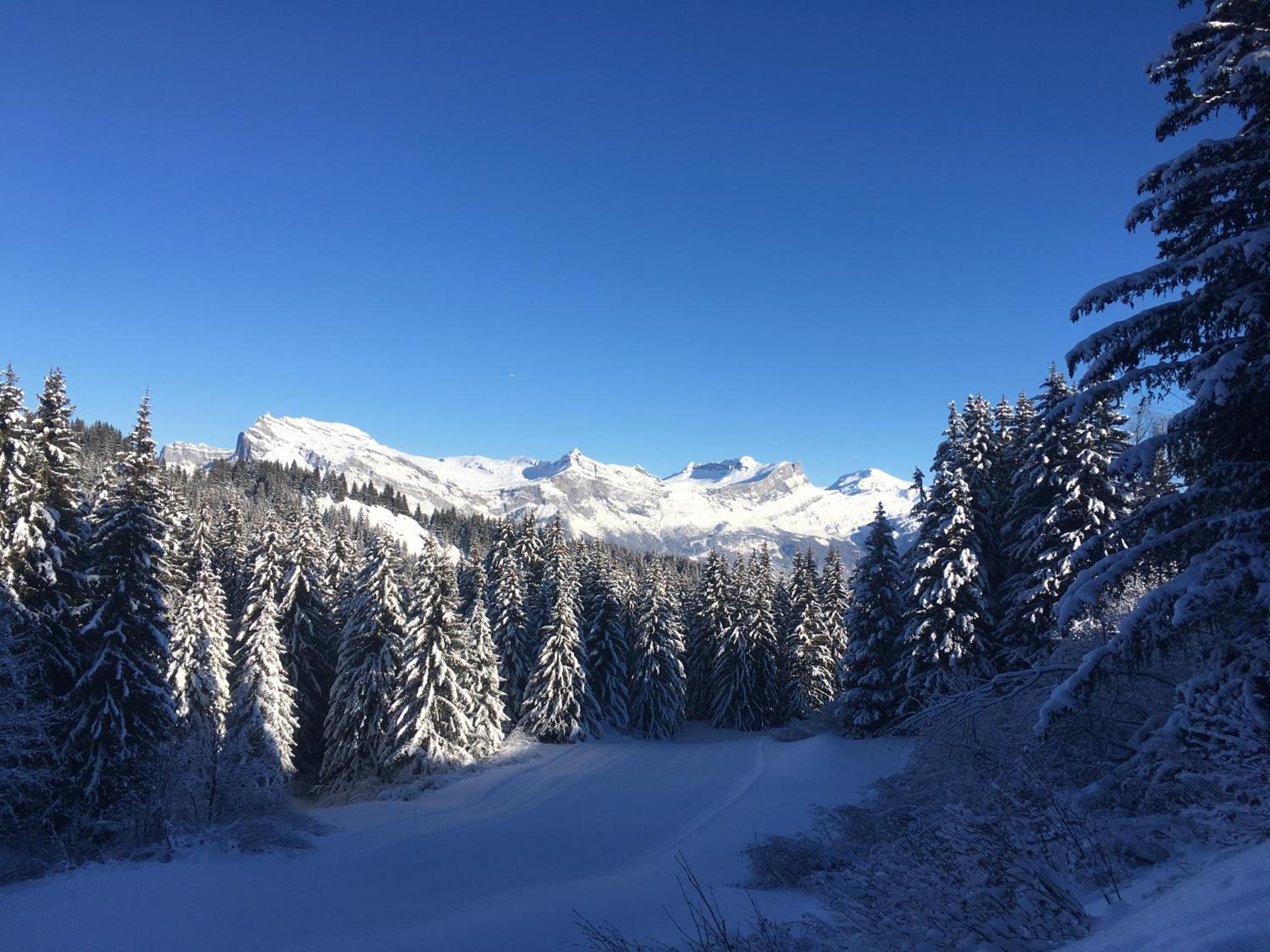 Chalet l'Aiglon, photo 7