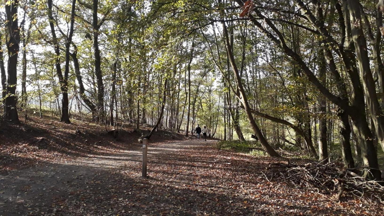 Kanne: charming house between nature and shopping