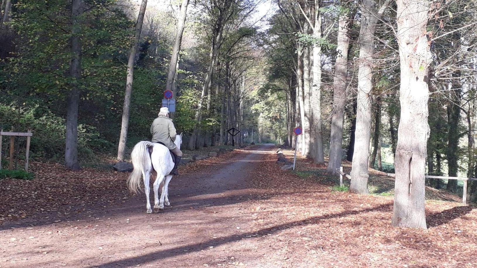 Kanne: charming house between nature and shopping