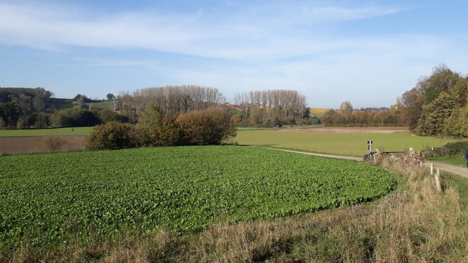 Kanne: charming house between nature and shopping