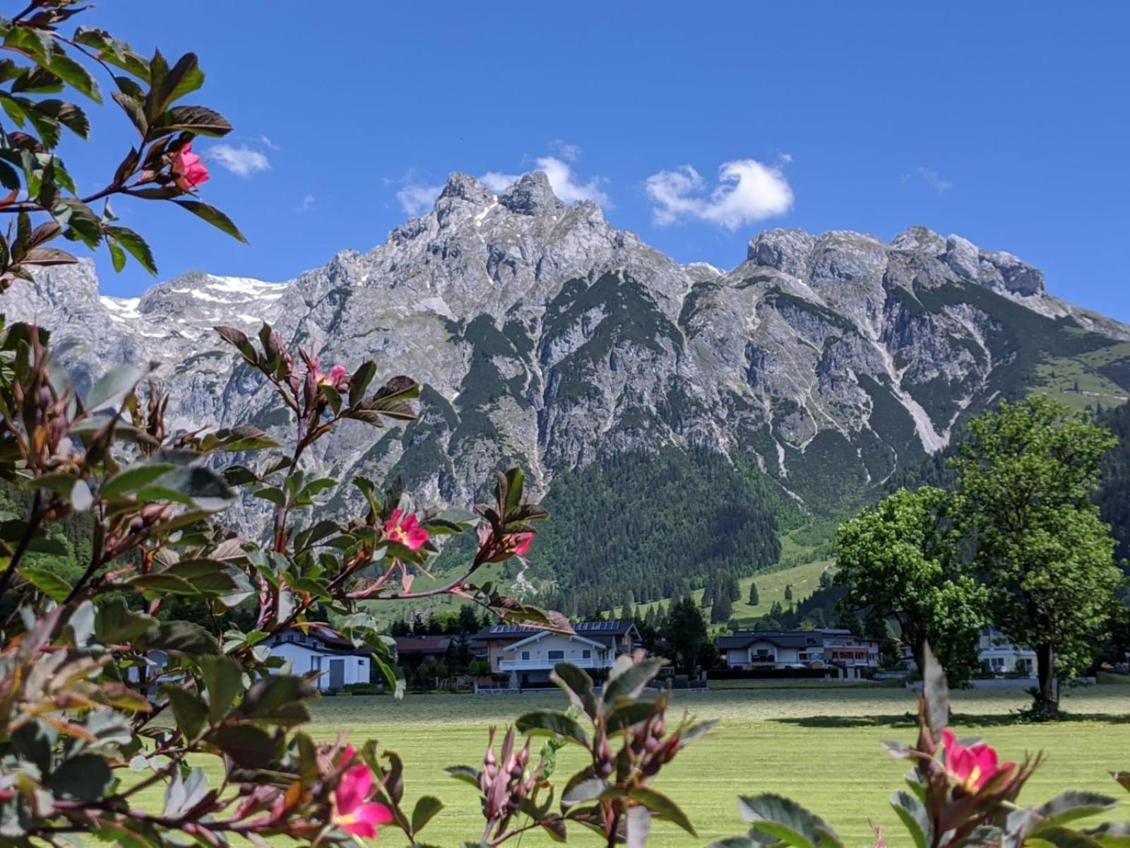 Bio Bauernhof Vorderoberlehen