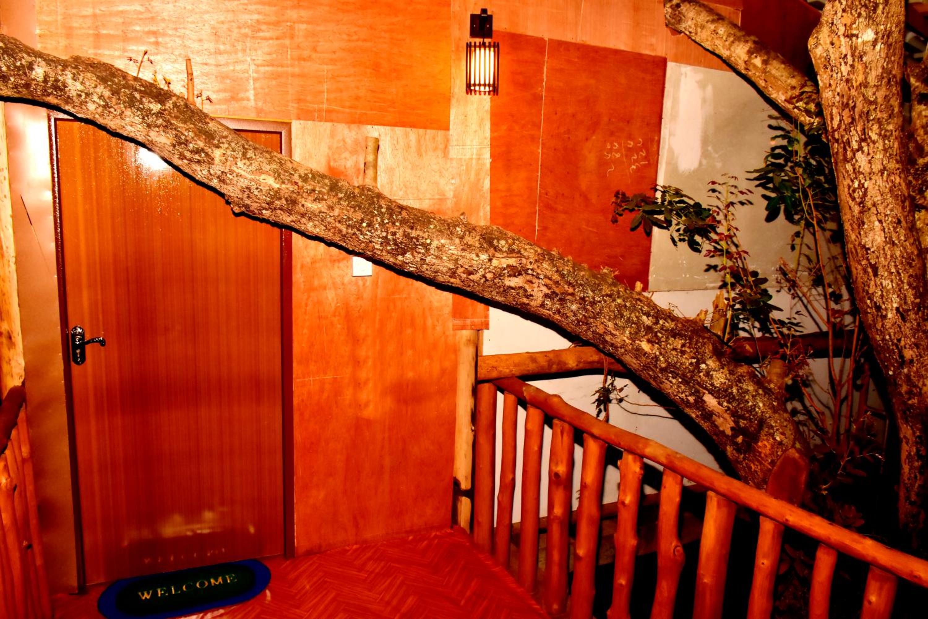 Photo 41