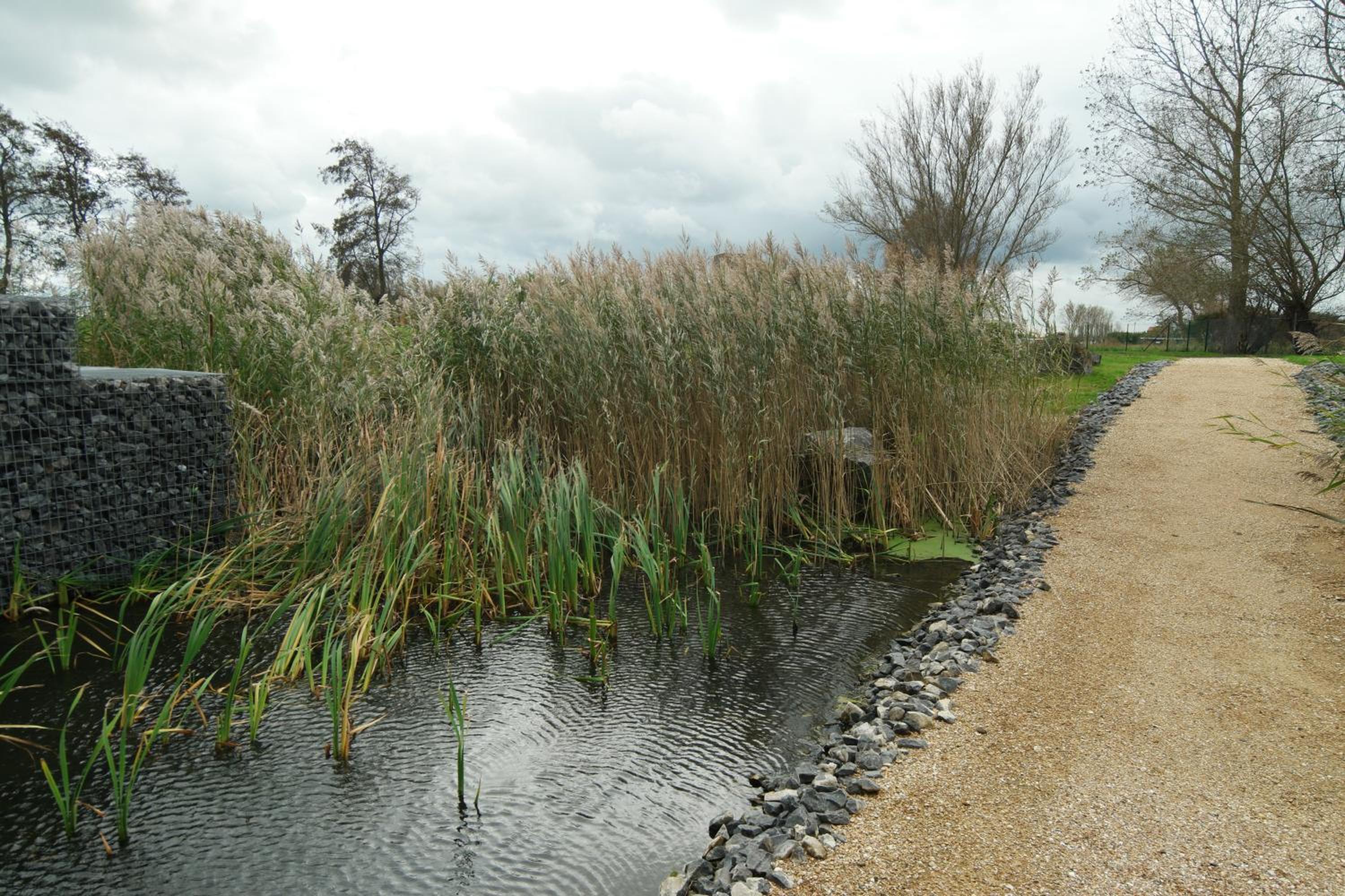 Photo 13