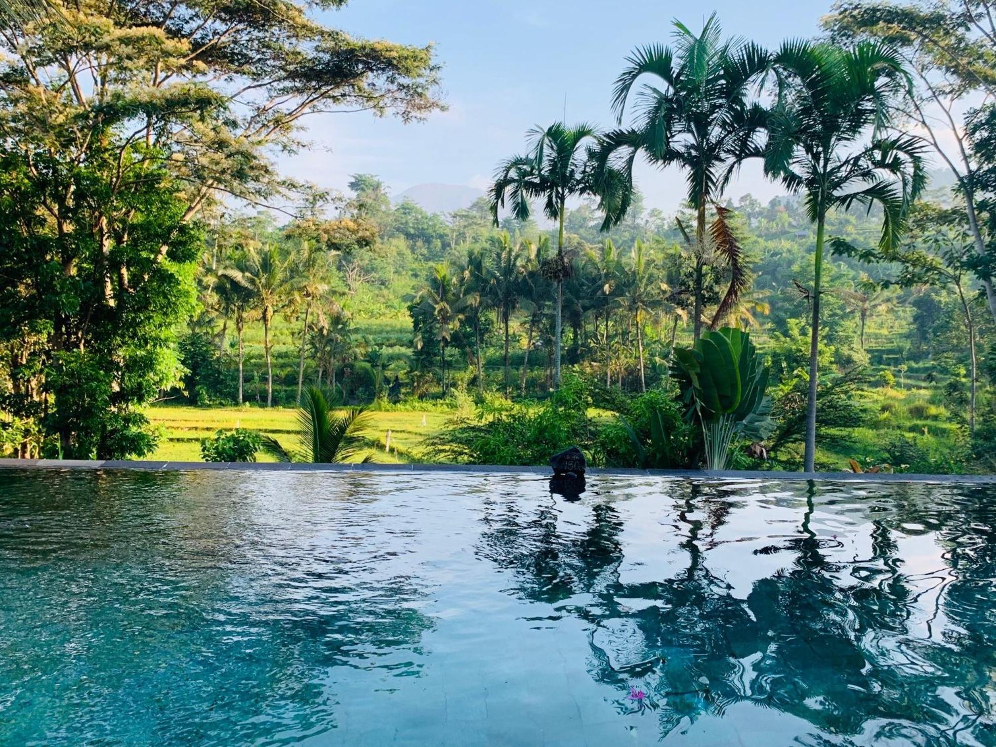 Surya Shanti Villa Sidemen view 3