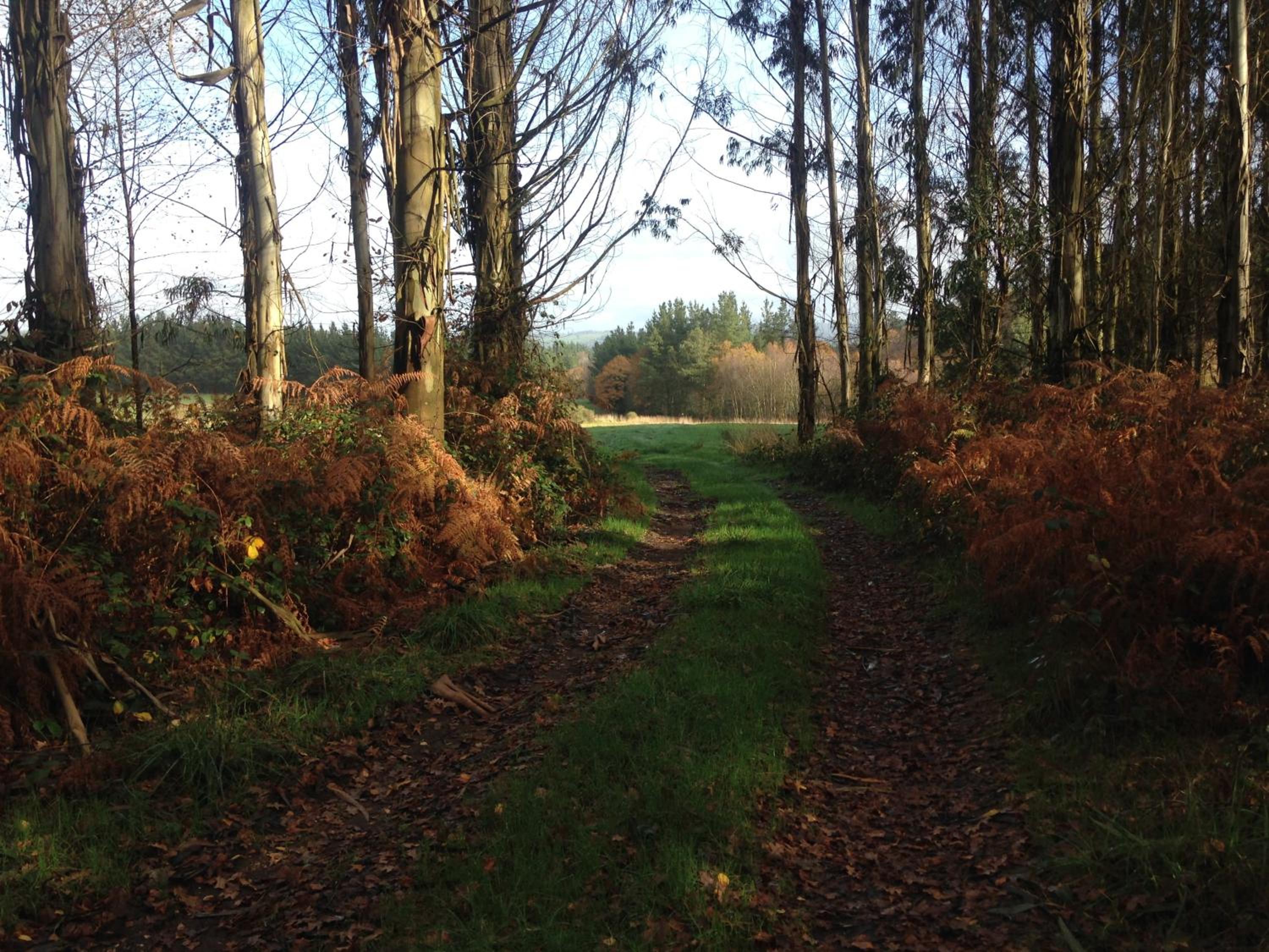 Photo 48