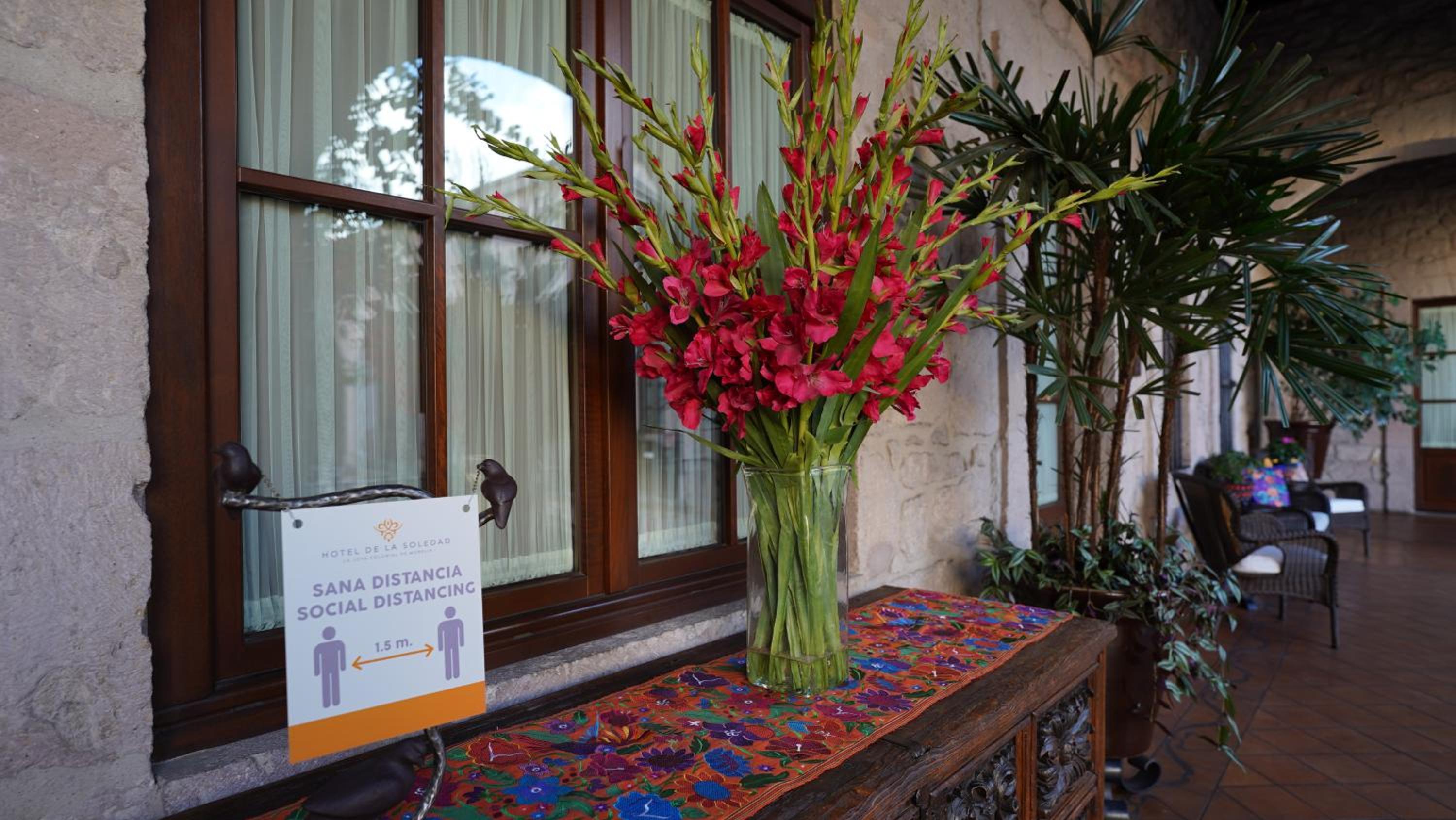 Hotel De La Soledad - Property Image 33