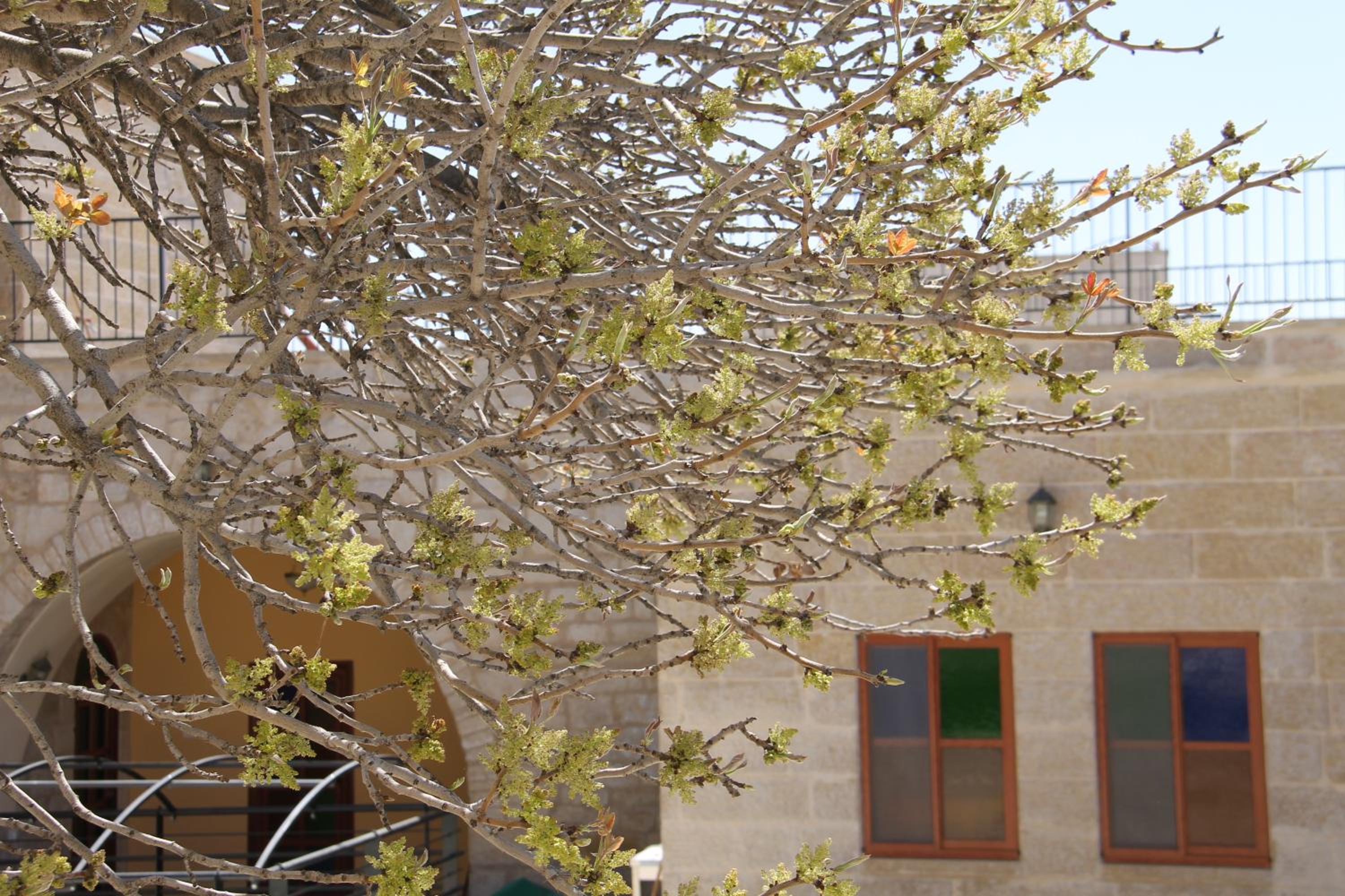 Dar Sitti Aziza