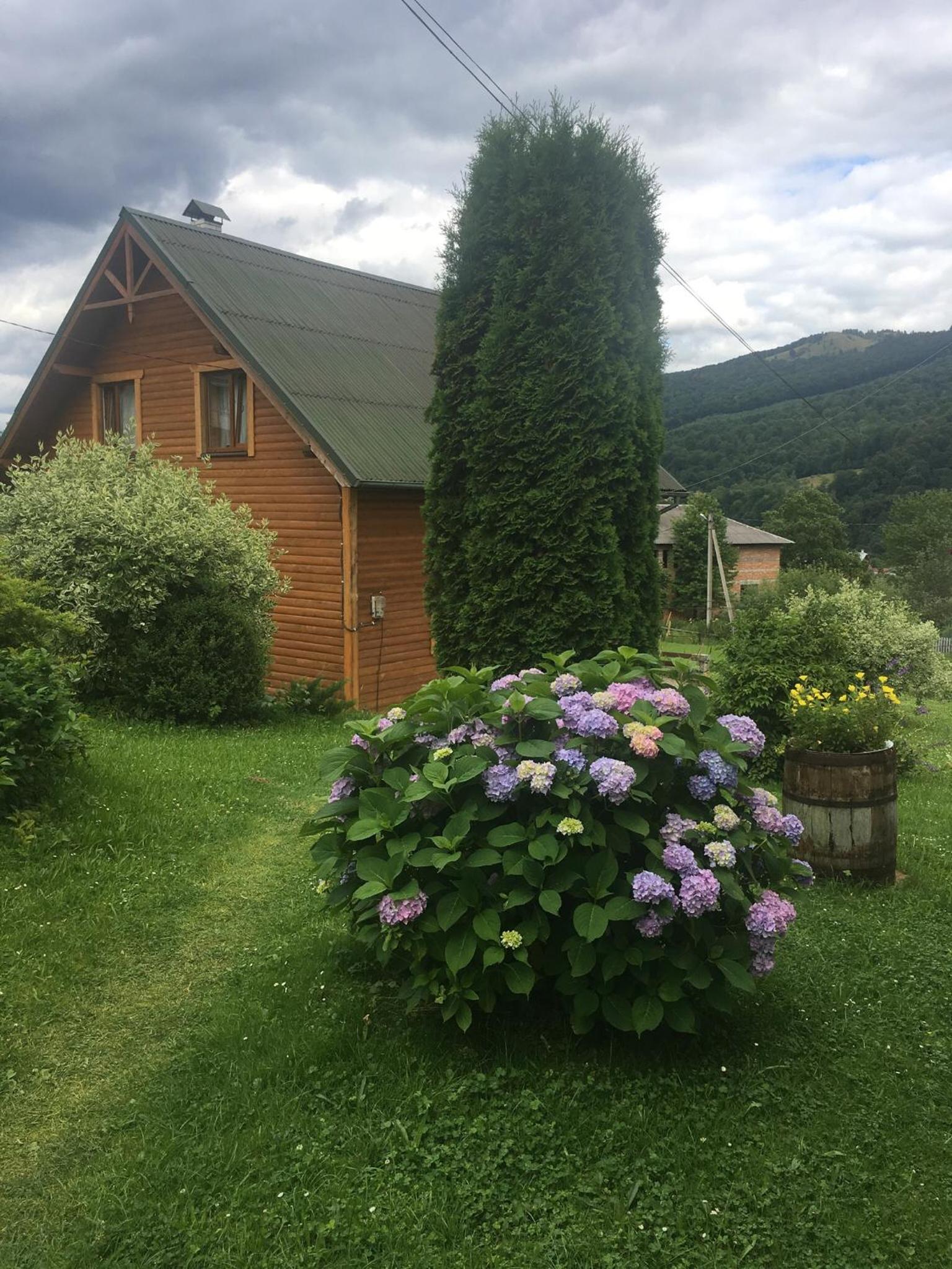 Photo 35
