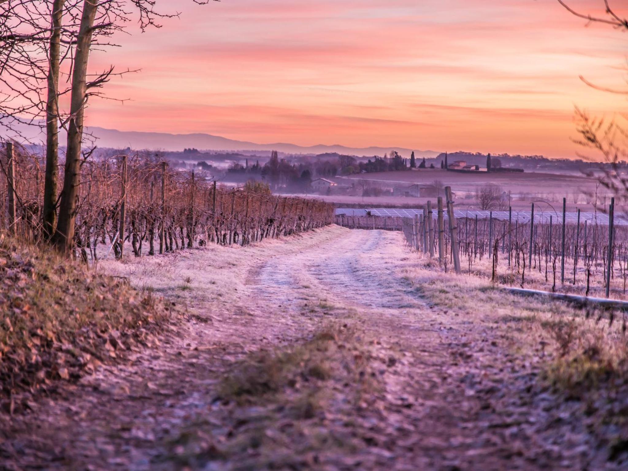 Agriturismo e Agricamping Le Nosare