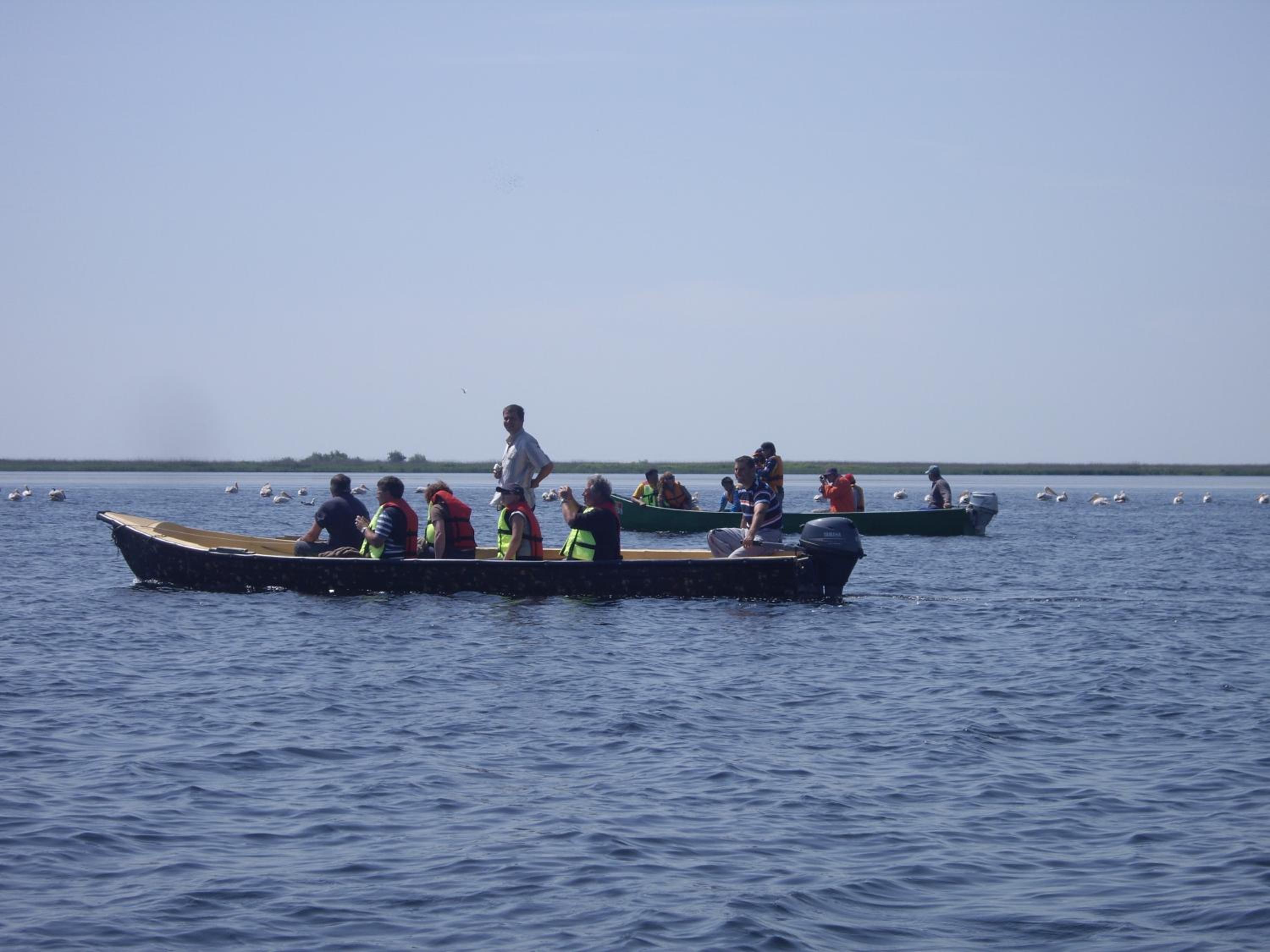 Photo 45
