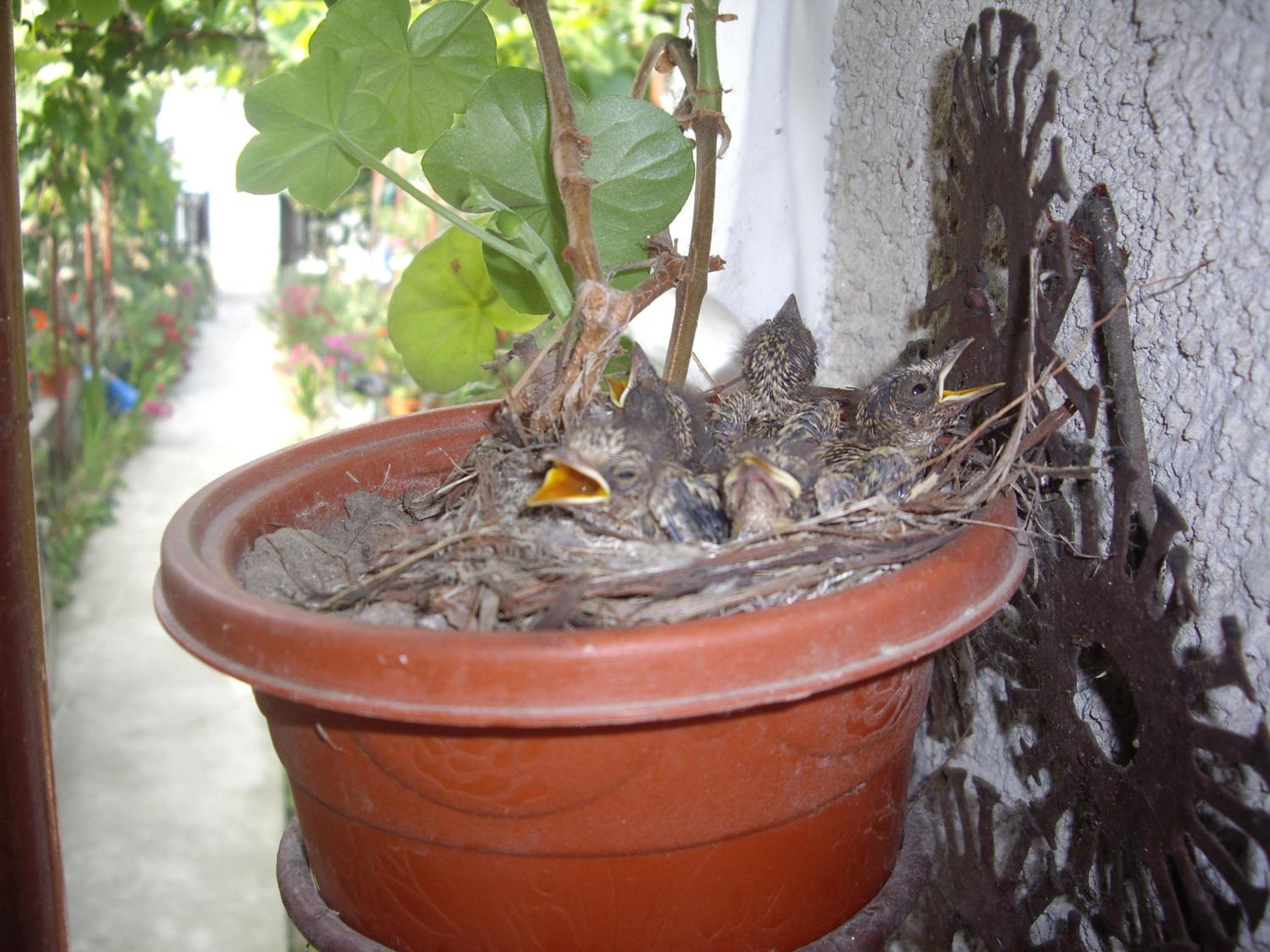 Photo 56