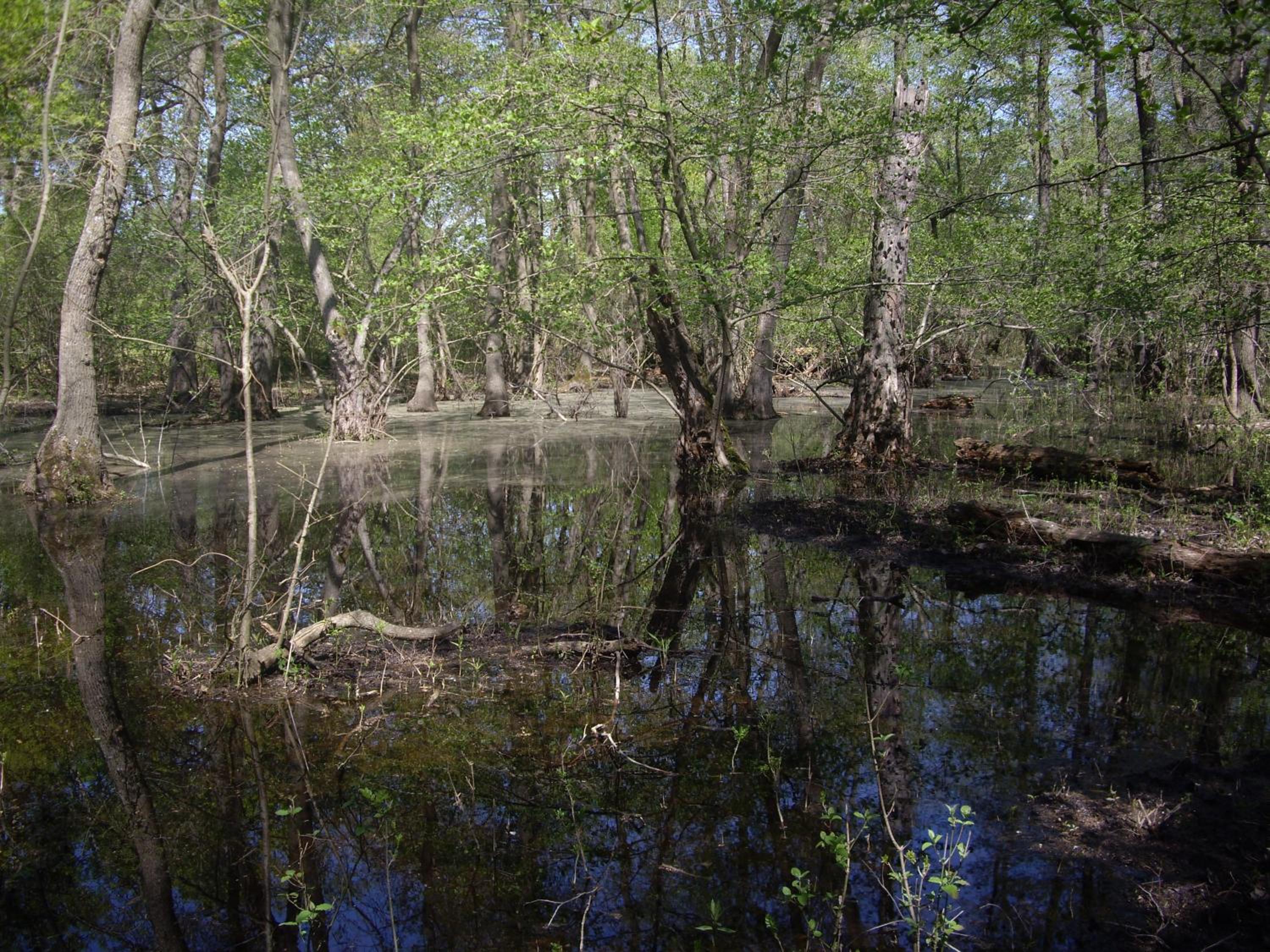 Photo 49