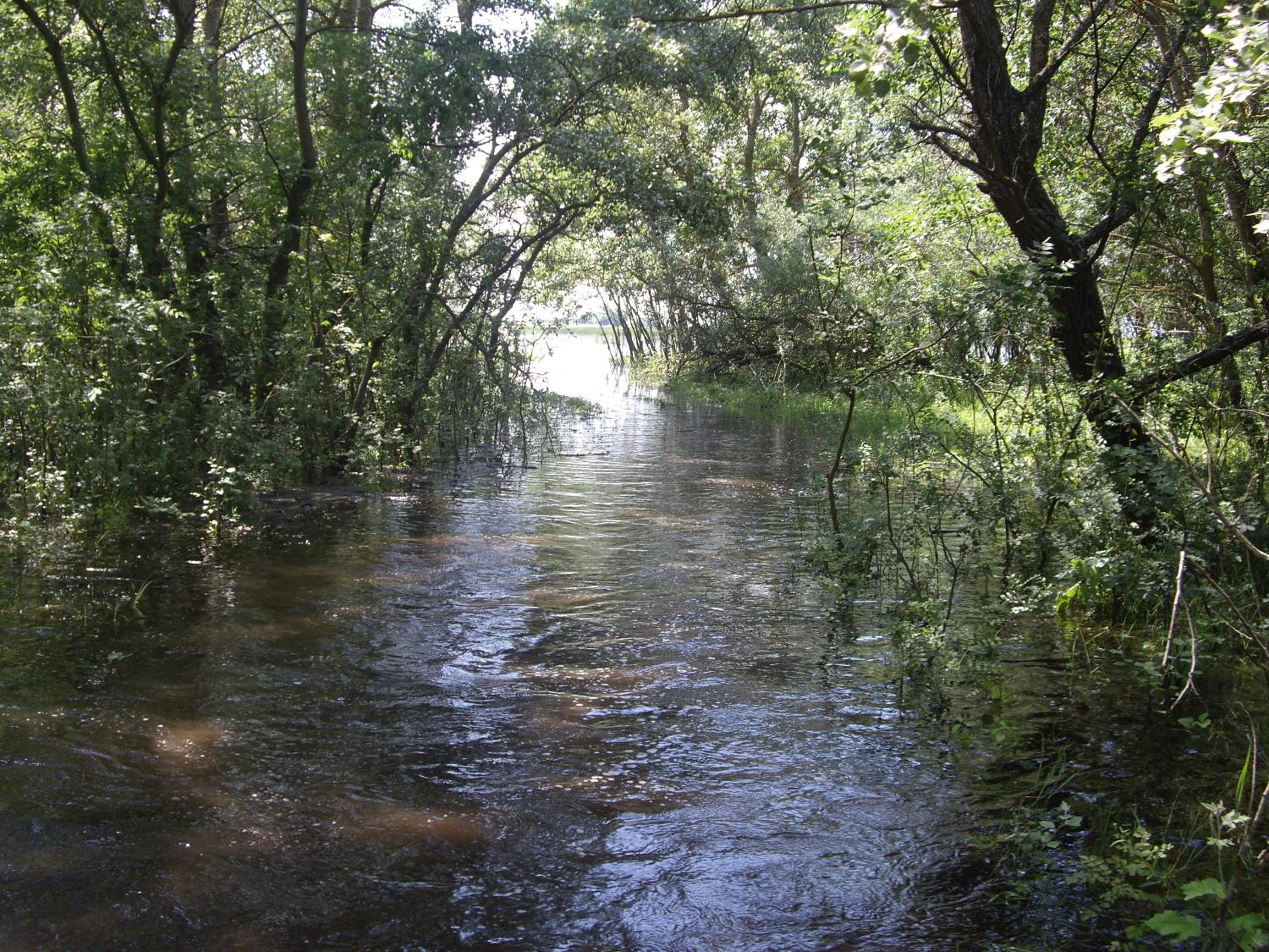 Photo 46