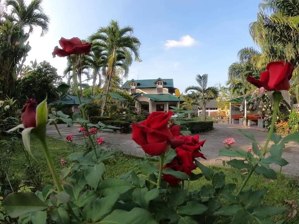 Ekman Garden Resort