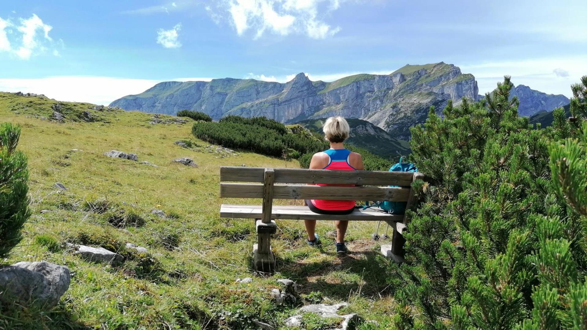 Pension Alpina