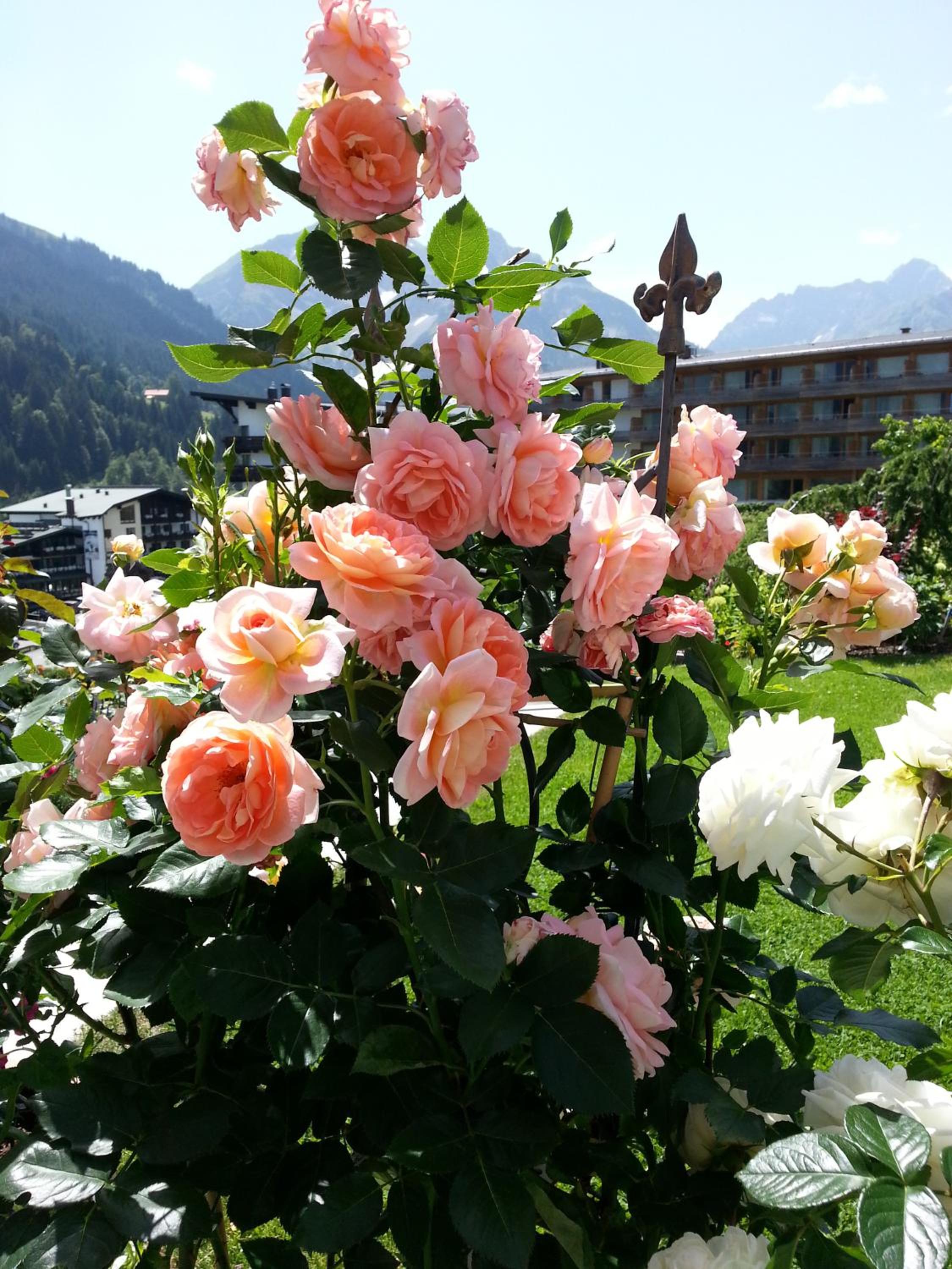 Ferienwohnung Gästehaus Büchele Kleinwalsertal