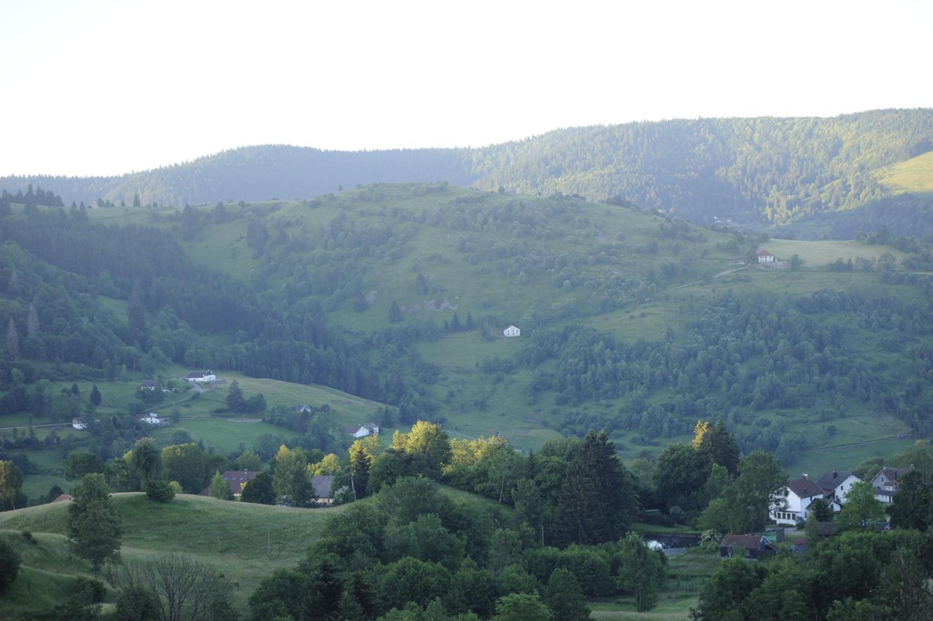 Photo 22