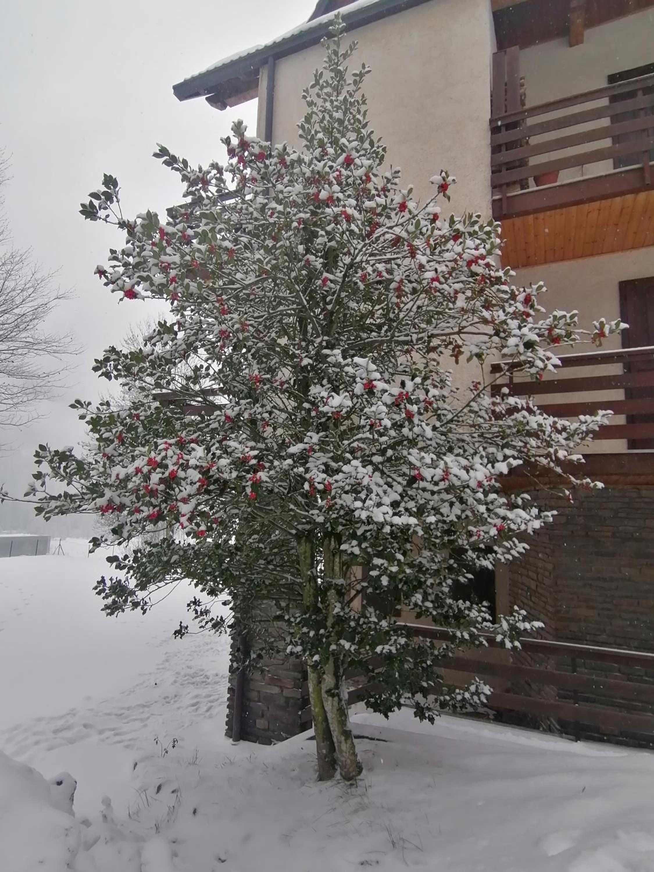 Photo 44